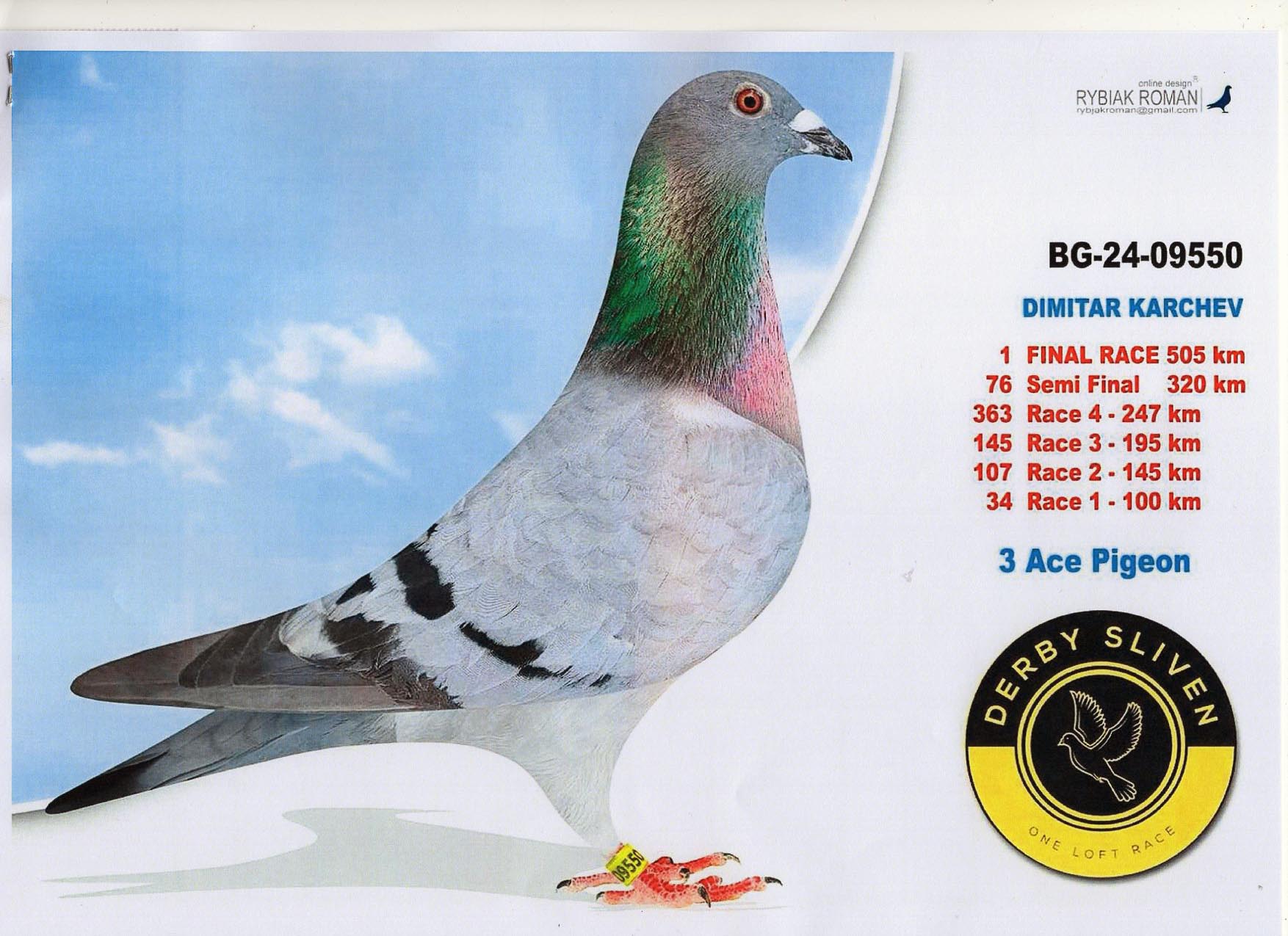 BG 25 9136 F - Half sister 1 Final Sliven OLR