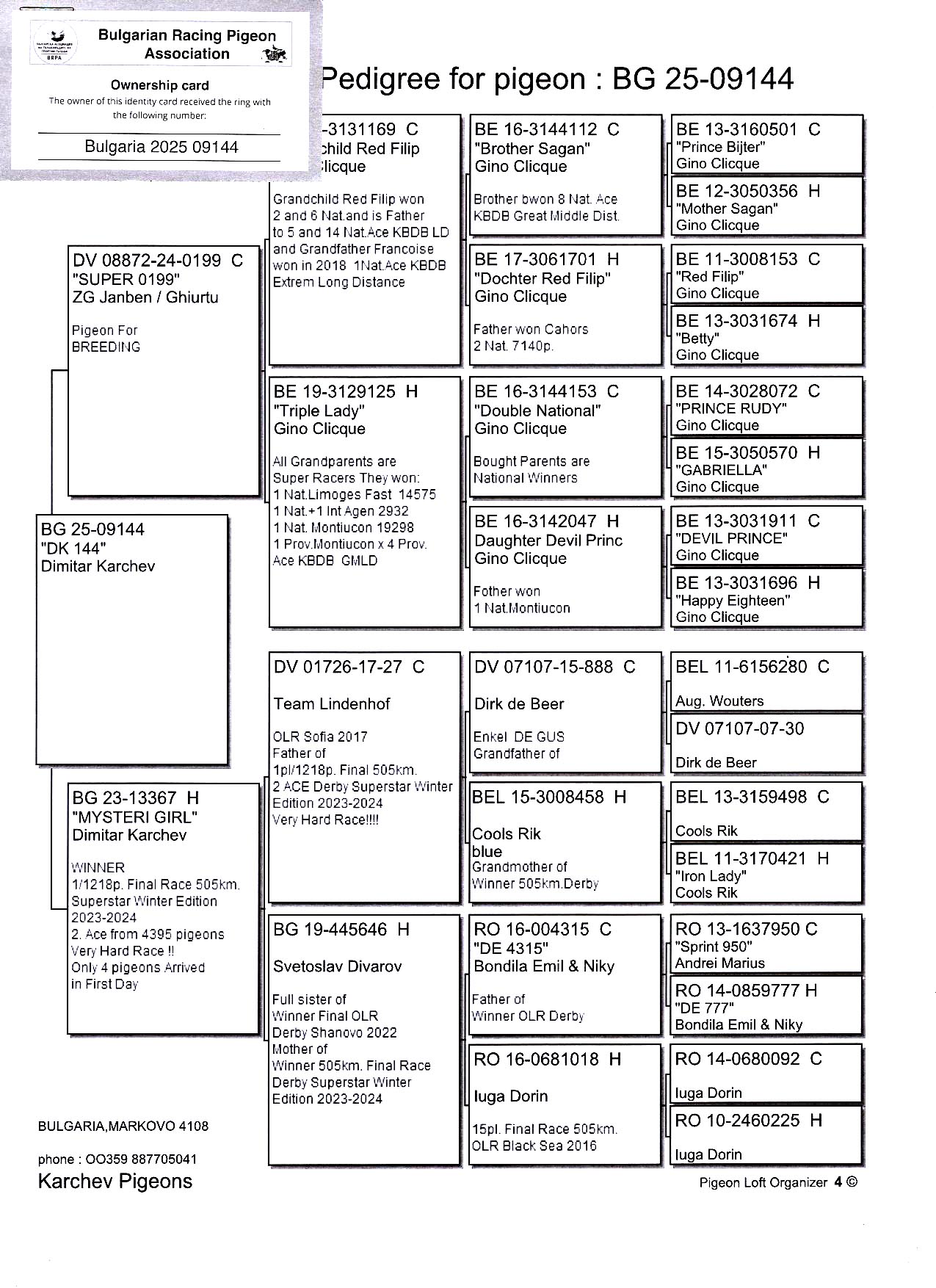 BG 25 9144 M - Son 1 Final (2 Ace) Superstar Spain 505km (1218 pigeons)