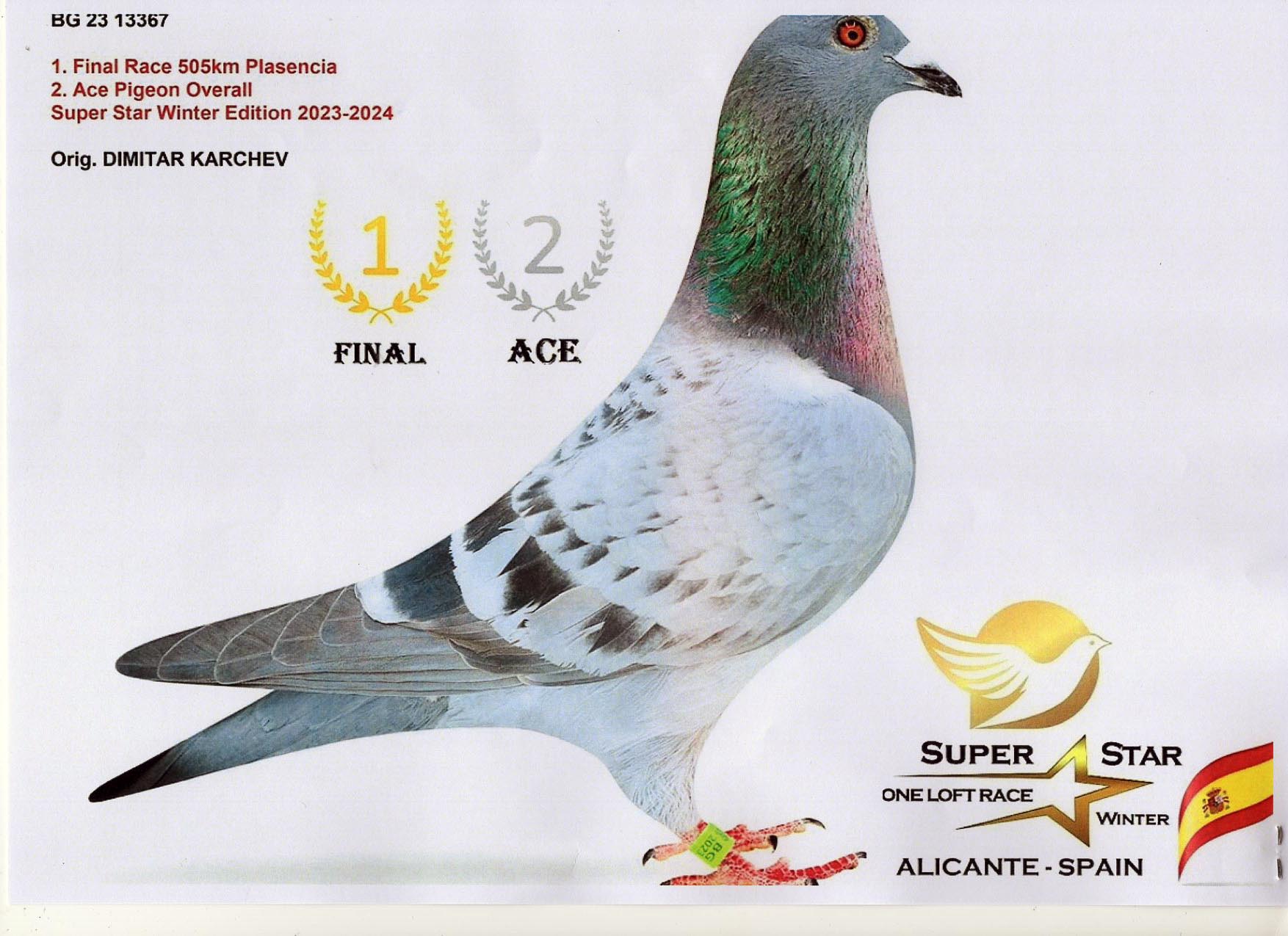 BG 25 9144 M - Son 1 Final (2 Ace) Superstar Spain 505km (1218 pigeons)