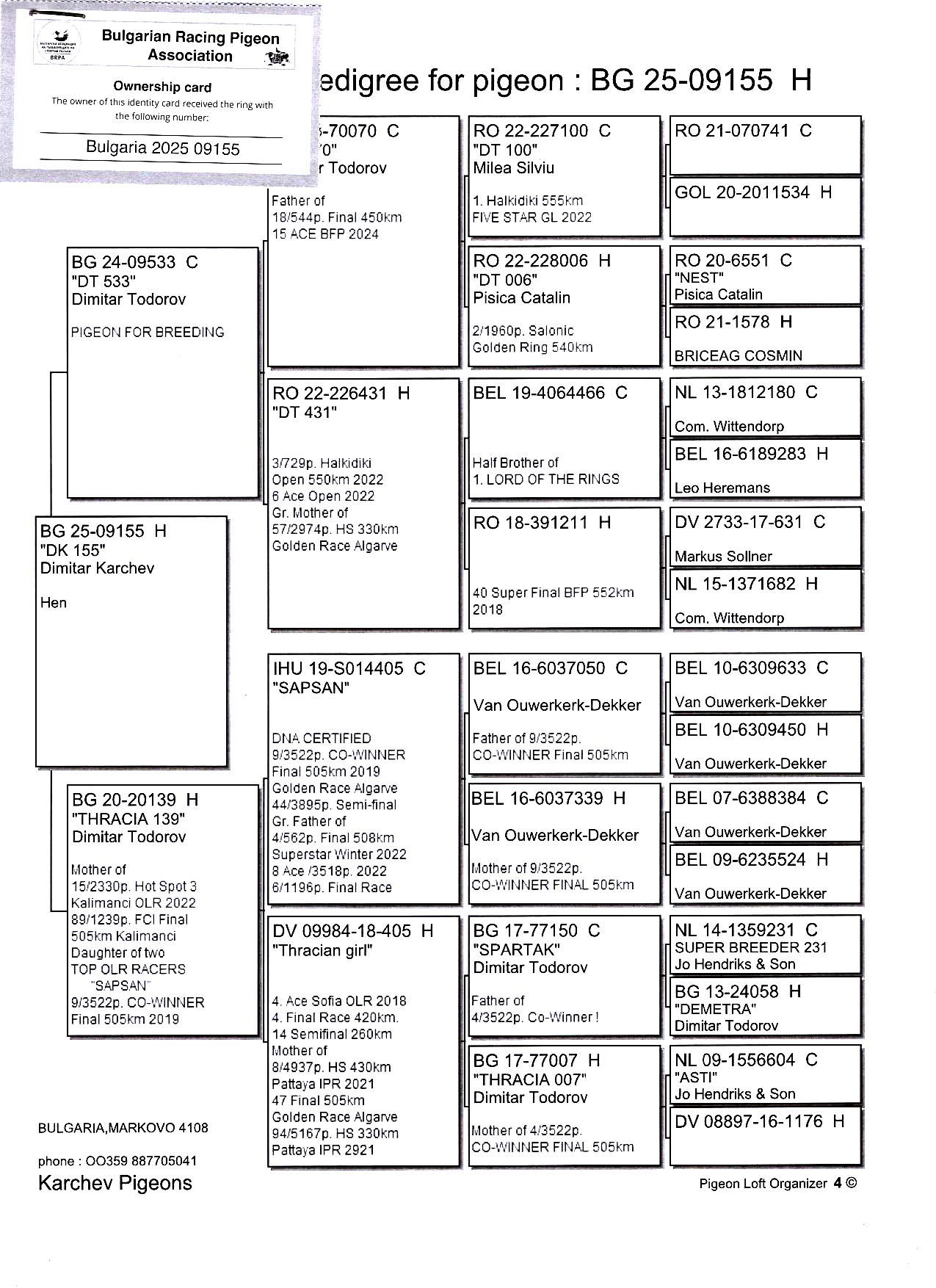 BG 25 9155 F - Granddaughter super breeder Sapsan