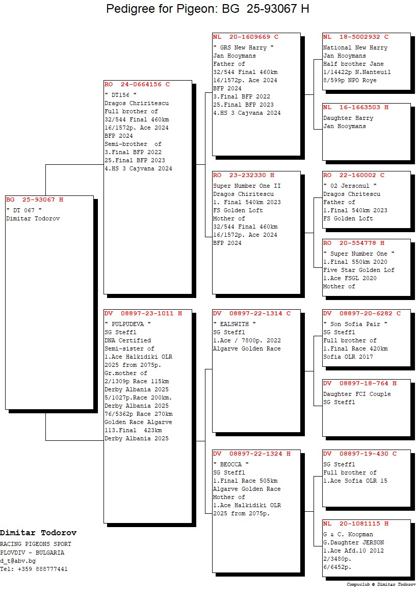 BG 25 93067 F - Granddaughter Ealswith / Beocca