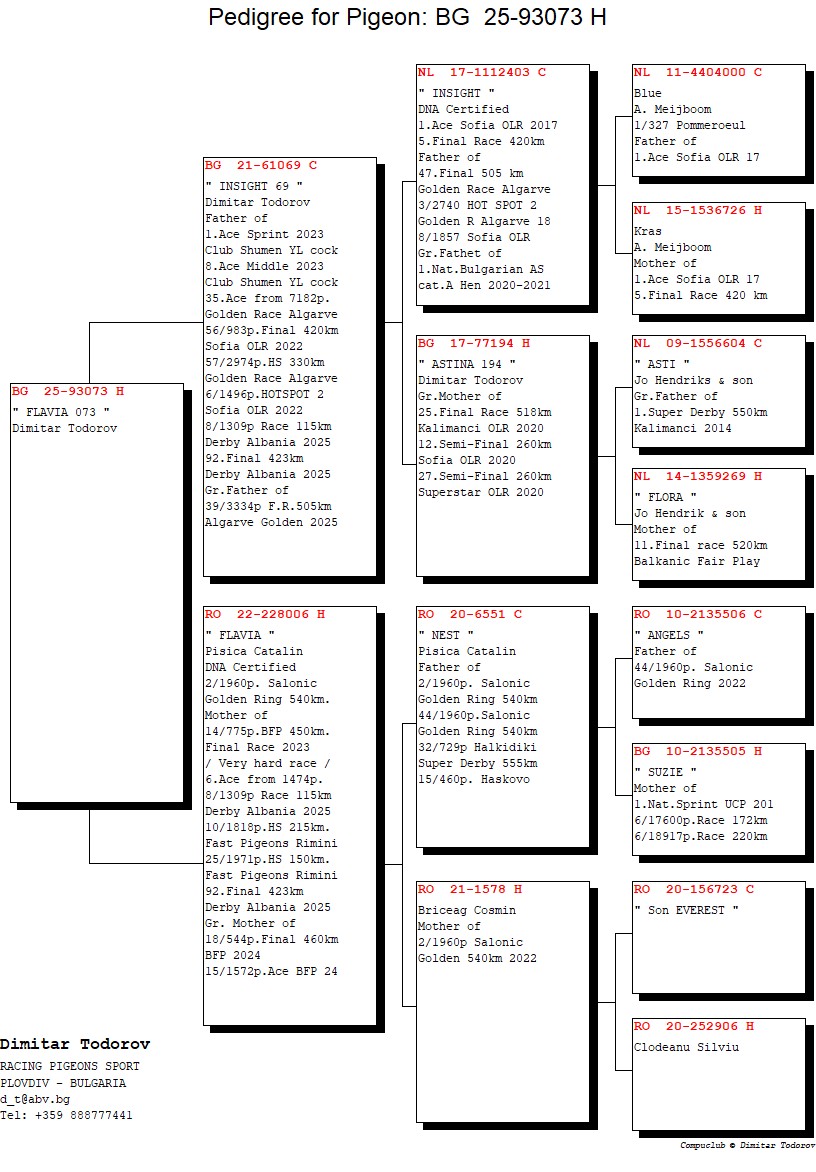 BG 25 93073 F - Granddaughter Insight 1 Ace Sofia OLR (Super breeder)