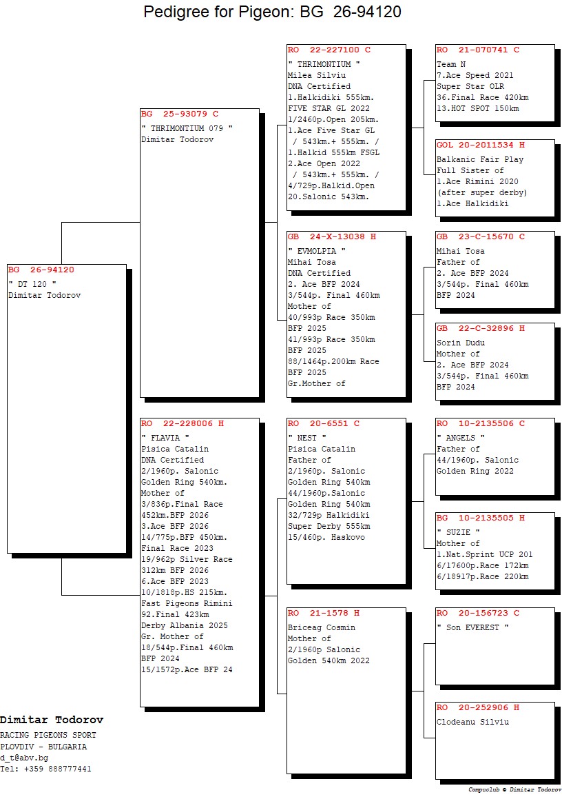 BG 26 94120 F - Half sister 3 Final (3 Ace) BFP 2026
