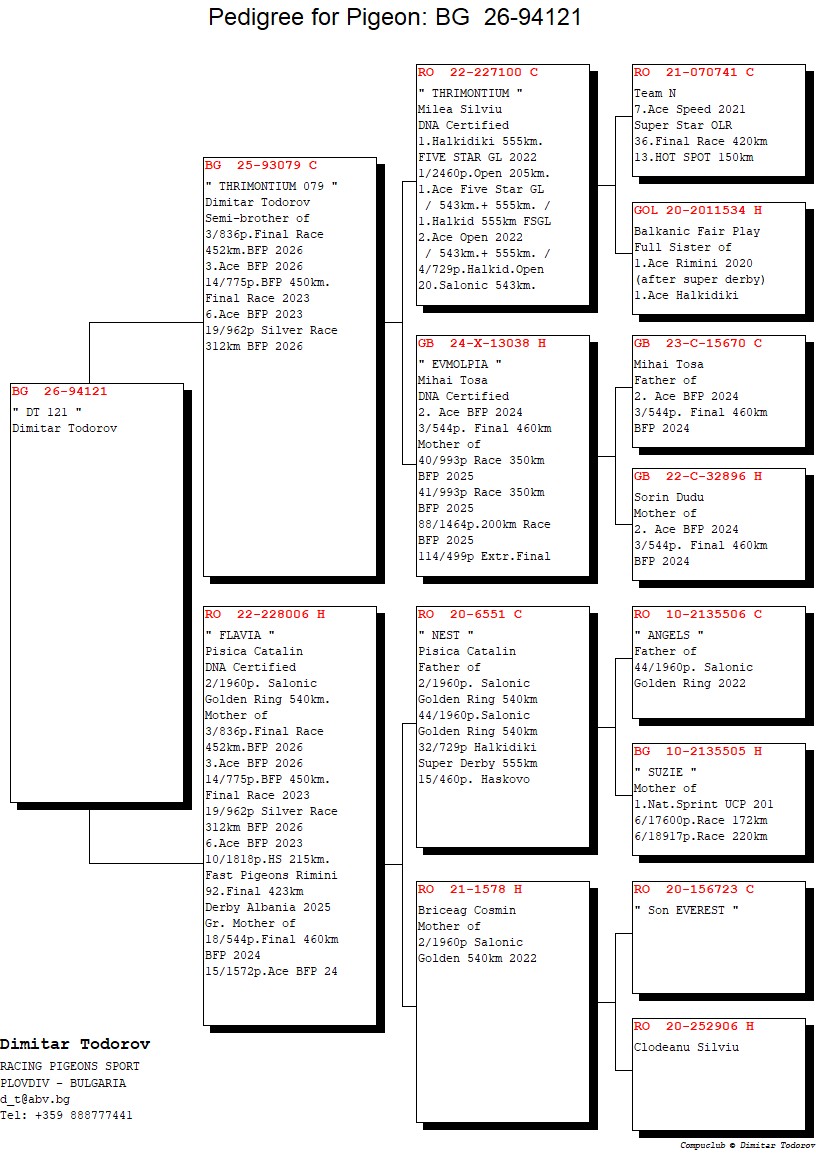 BG 26 94121 F - Half sister 3 Final (3 Ace) BFP