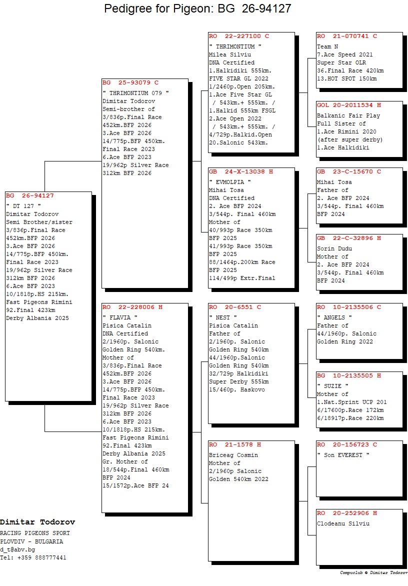 BG 26 94127 F - Half sister 3 Final (3 Ace) BFP 2026