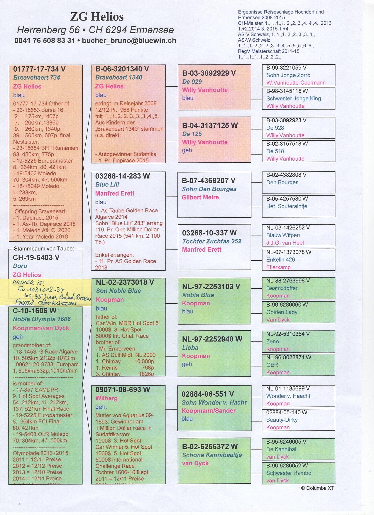 CH 19 5403 M - ZG HELIOS - Grandson superbreeder Braveheart 340