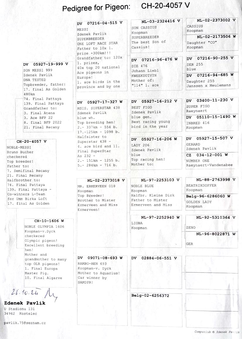 CH 20 4057 M - ZG HELIOS - Top breeder! Grandson Messi