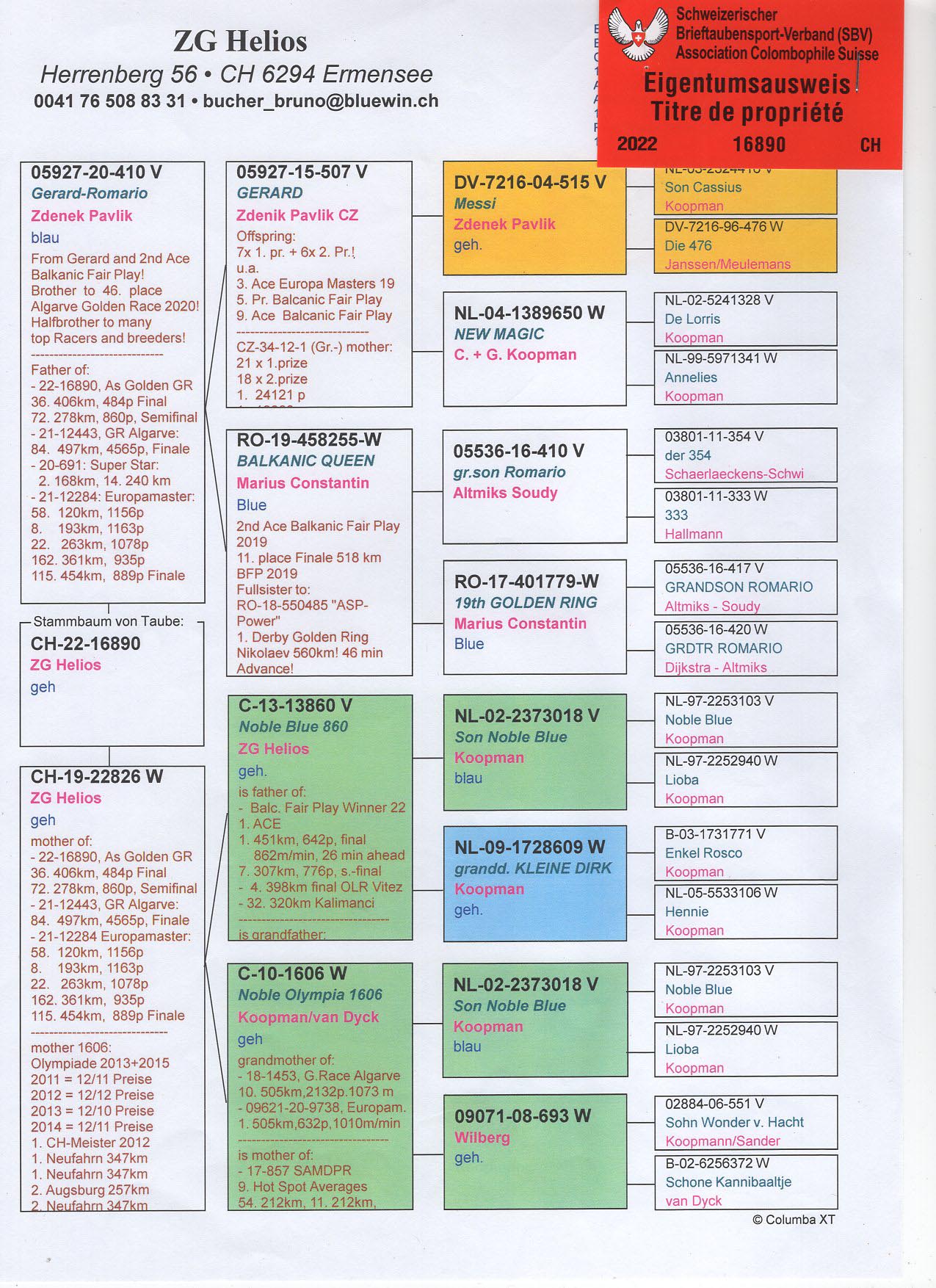 CH 22 16890 F - ZG HELIOS - Granddaughter Gerard (Zdenek Pavlik)