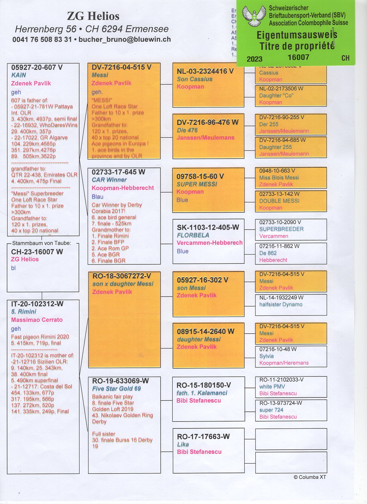 CH 23 16007 - ZG HELIOS - INBRED GRANDDAUGHTER OF MESSI