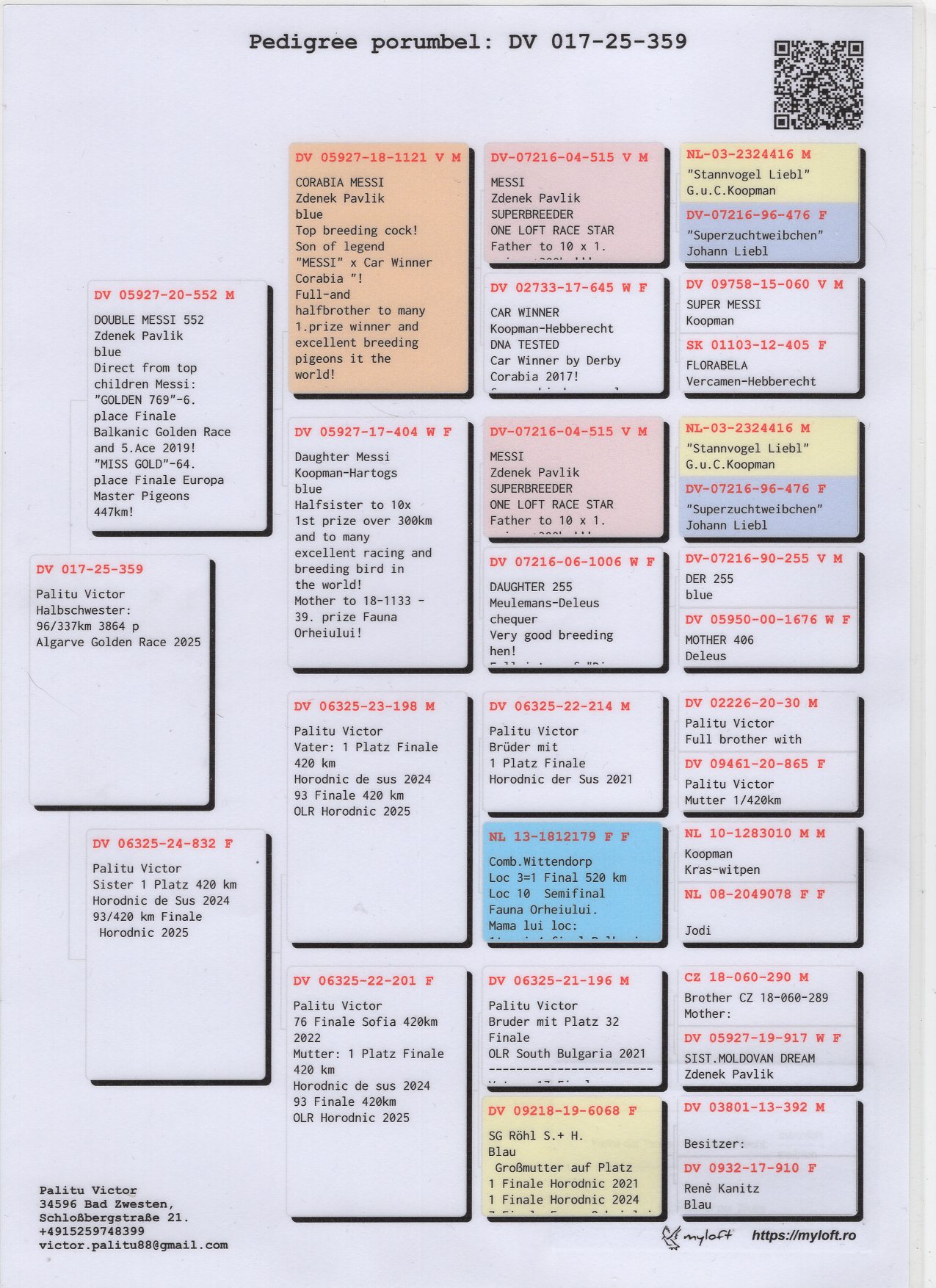 DV 017 25 359 F - Half sister 96 SFinal Algarve Golden Race