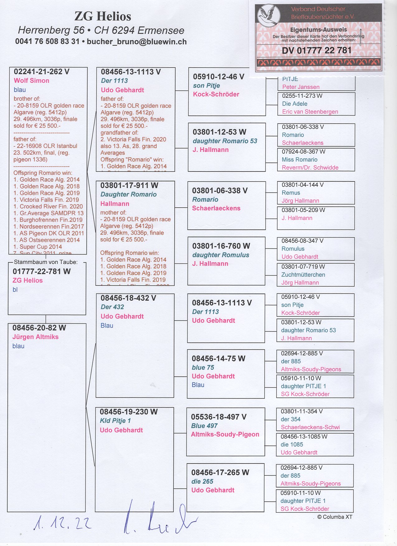 DV 1777 22 781 - ZG HELIOS - GRANDSON SUPER BREEDER "DER 1113"