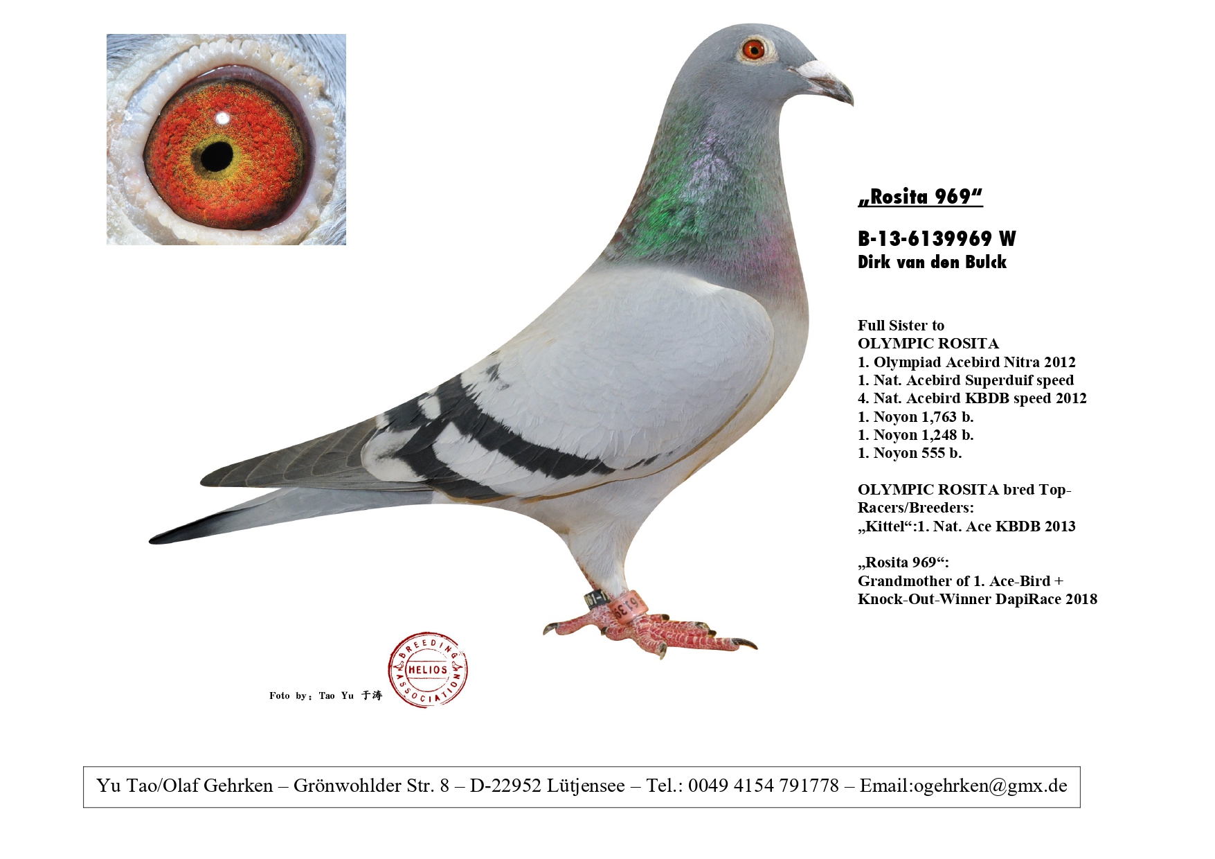 DV 1777-23-535 M - Son Liberaal (Dirk vd Bulck) x sister Olympic Rosita