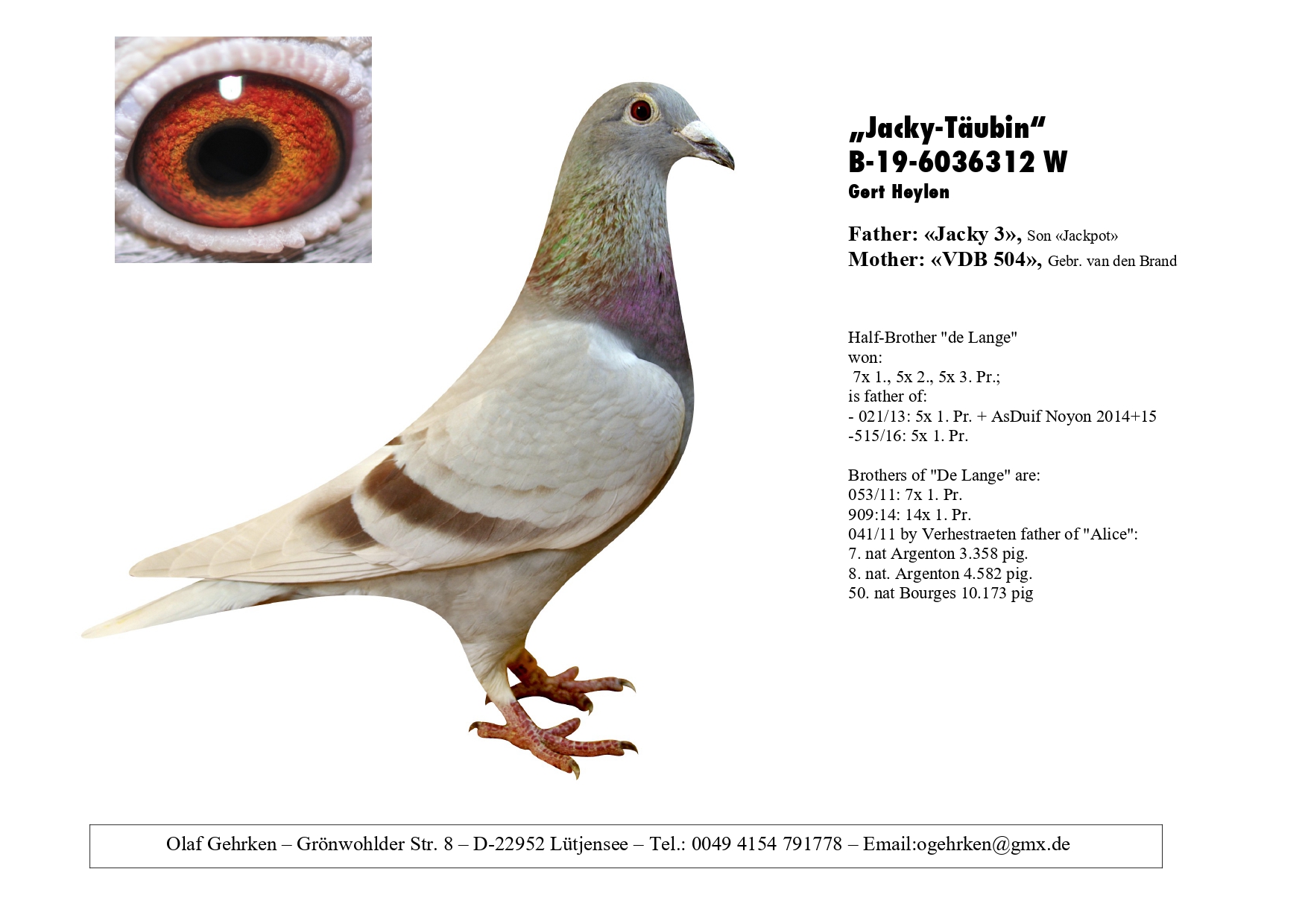 DV 1777-23-537 M - Grandson superbreeder Pichanel (Father 8x 1st)
