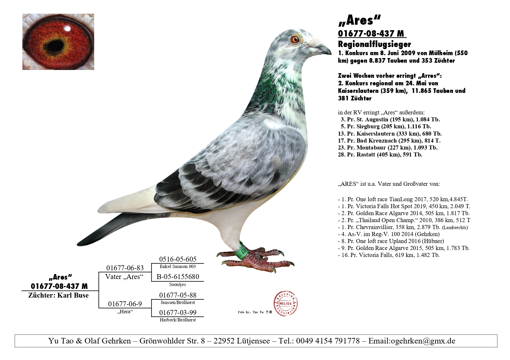 DV 1777-23-564 F - Granddaughter Ares, super racer & breeder