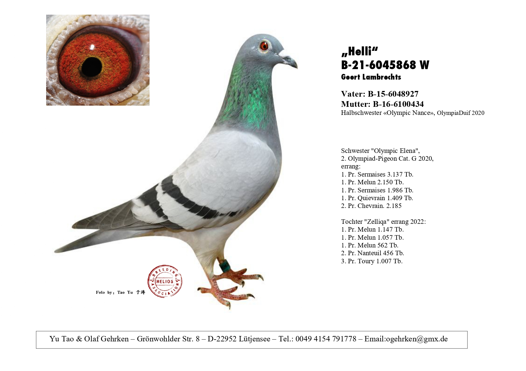 DV 1777-23-573 M - Brother Olympic Nance x Sister Olympic Elena