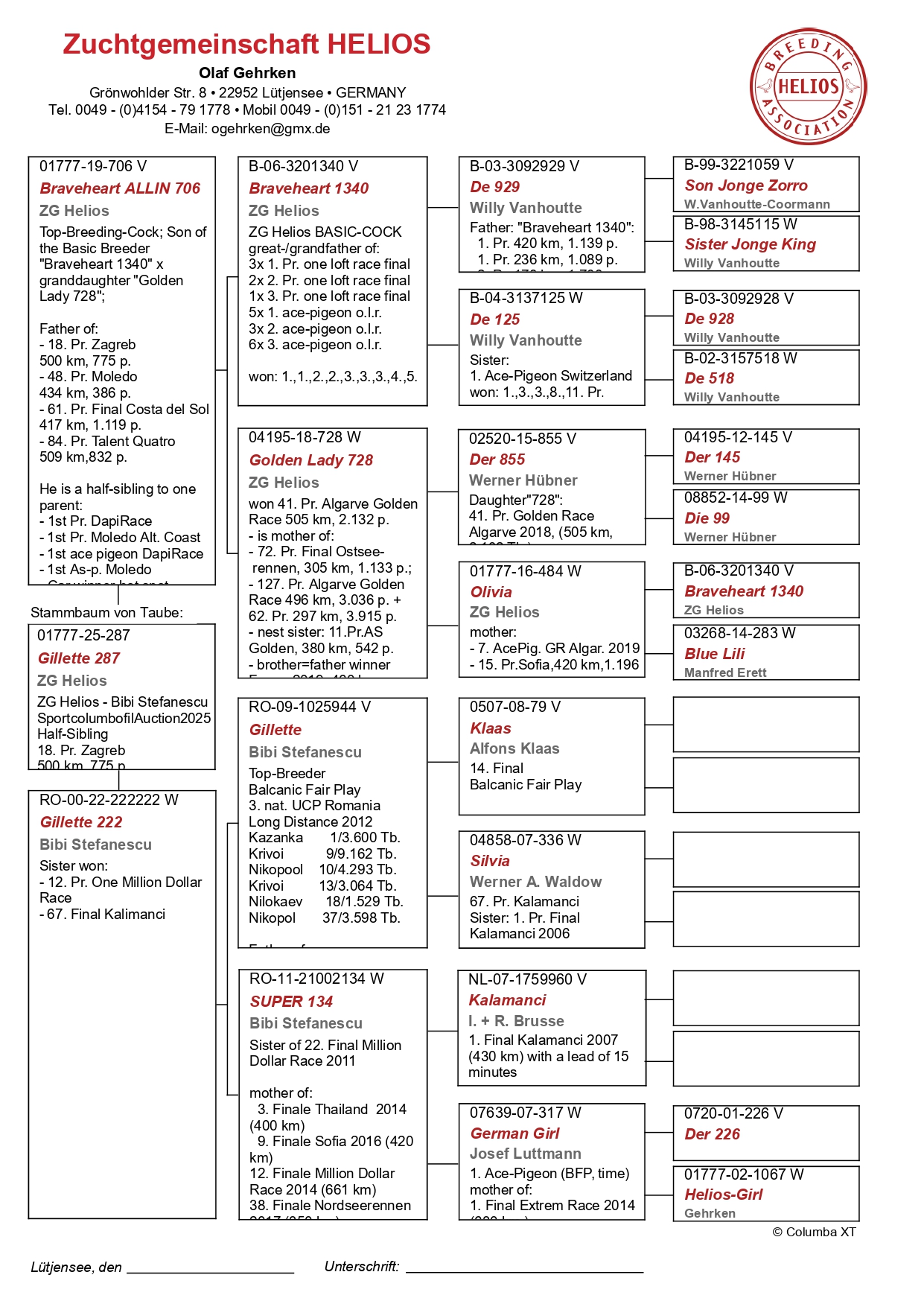 DV 1777 25 287 M - Grandson Braveheart 1340, Gillette