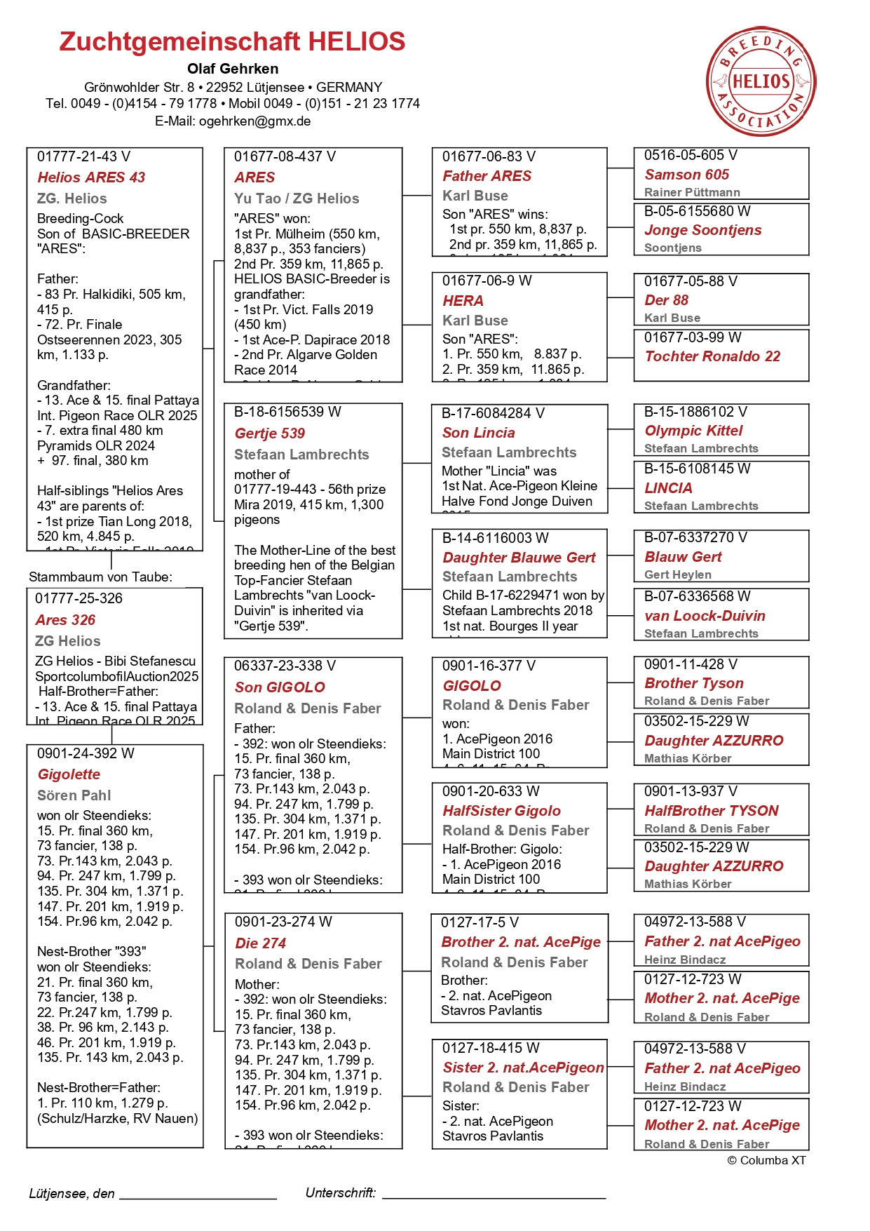 DV 1777 25 326 M - Grandson ARRES (Basic Breeder)