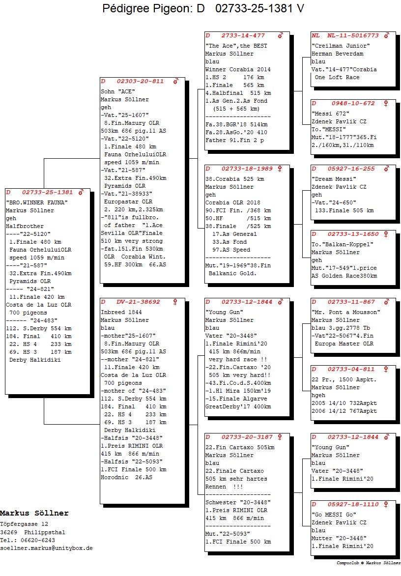 DV 2733 25 1381 M - Half brother 1 Final Fauna OLR