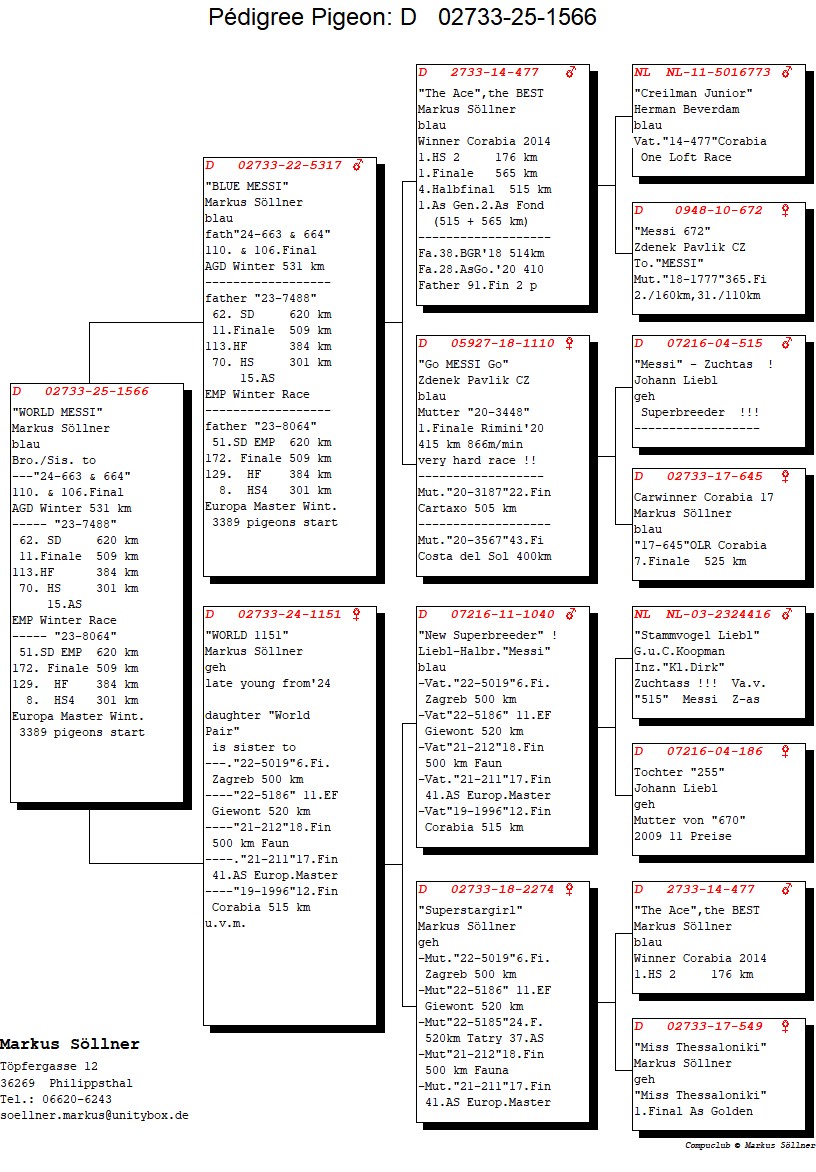 DV 2733 25 1566 M - Grandson The Ace