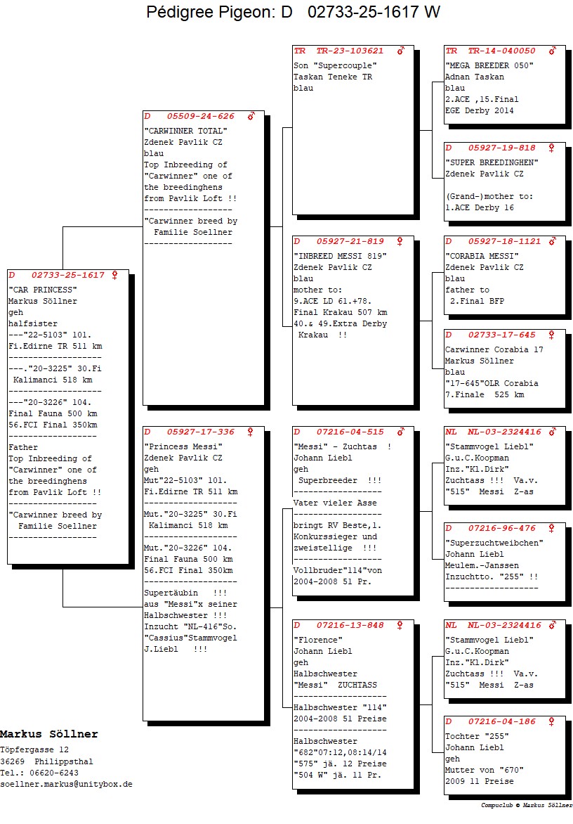 DV 2733 25 1617 F - Granddaughter Messi