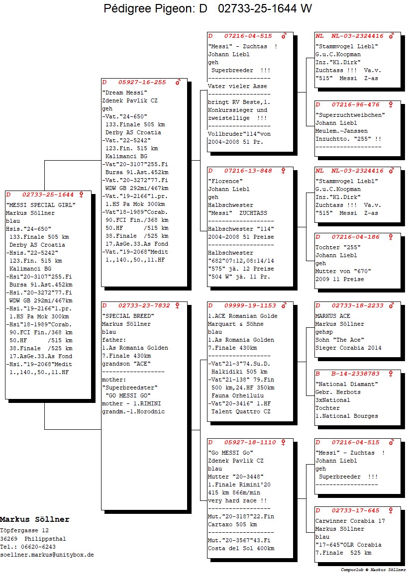 DV 2733 25 1644 F - Granddaughter Messi
