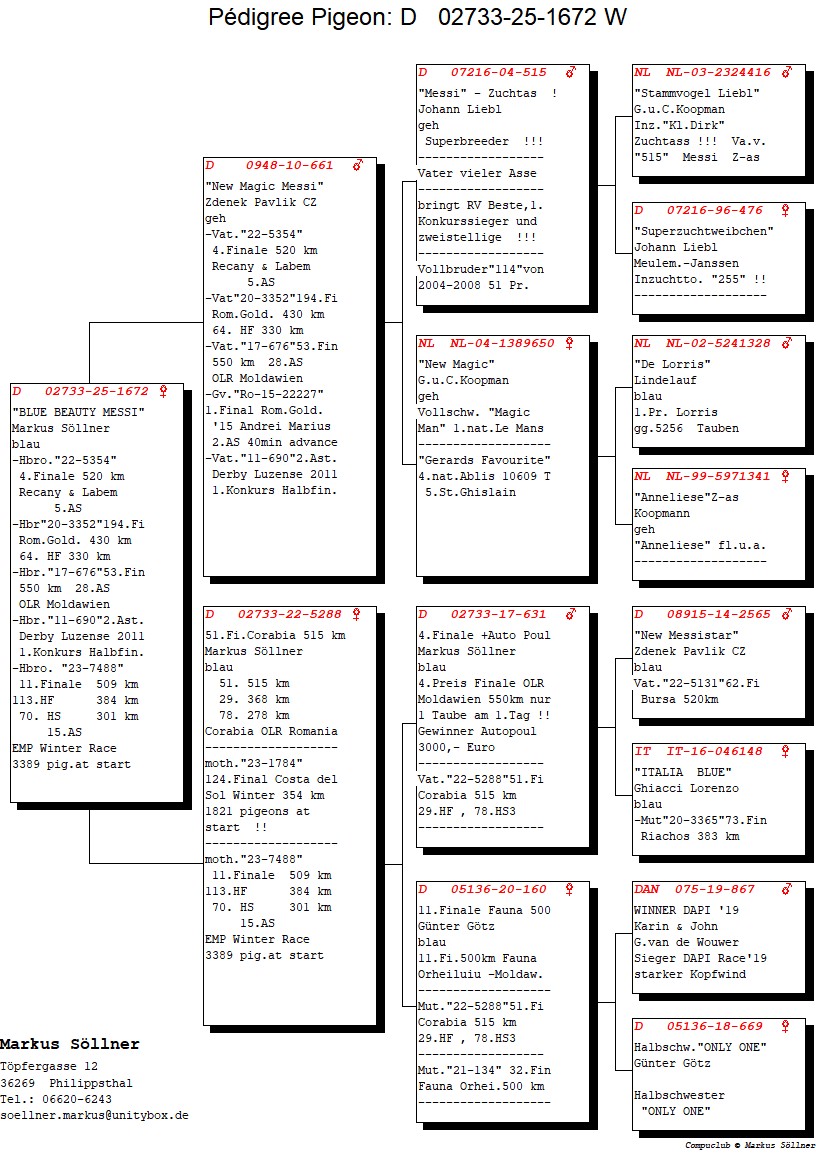 DV 2733 25 1672 F - Granddaughter Messi