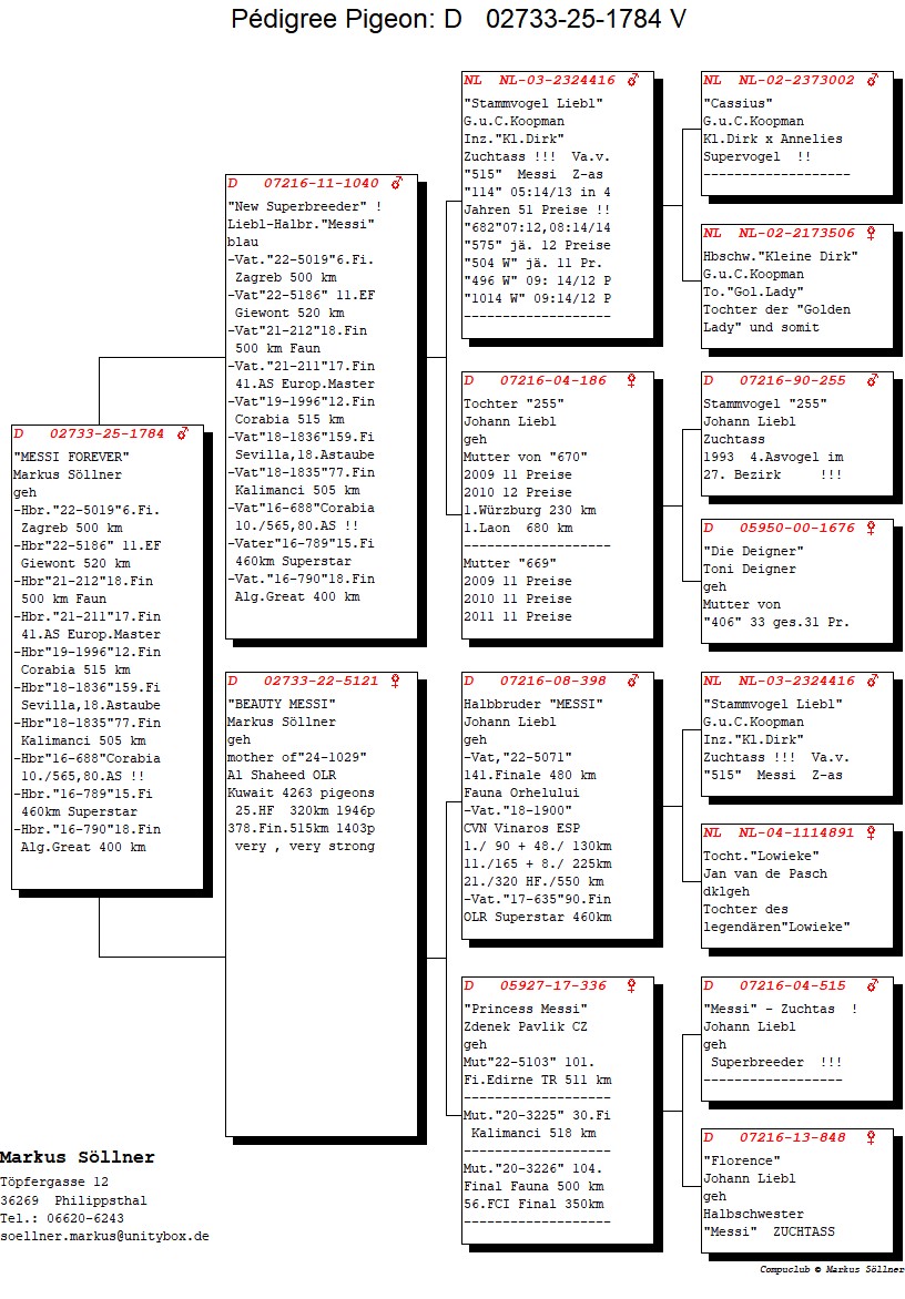 DV 2733 25 1784 M - Son New Superbreeder