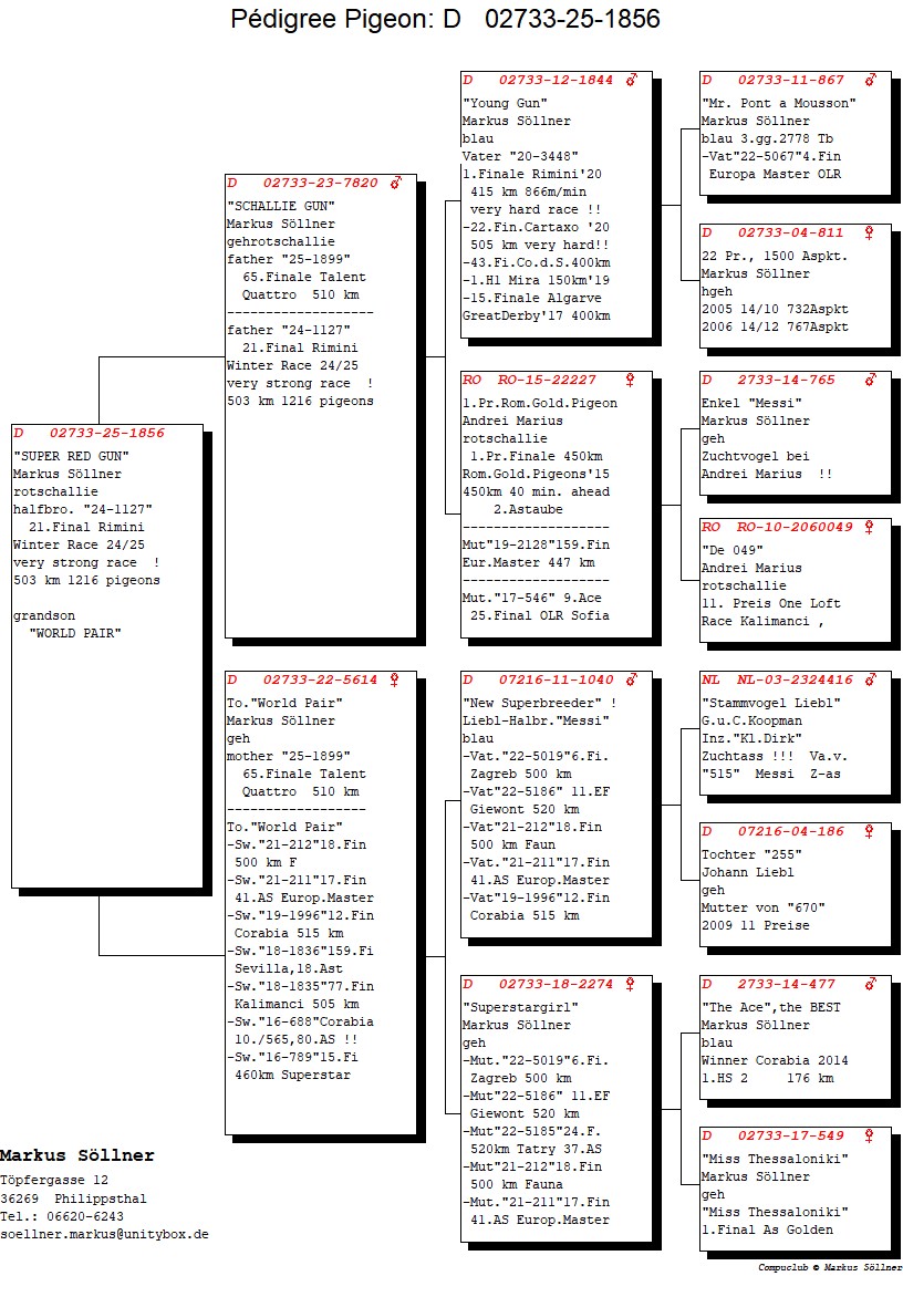 DV 2733 25 1856 M - Half brother 21 Final Rimini OLR; Grandson World Pair