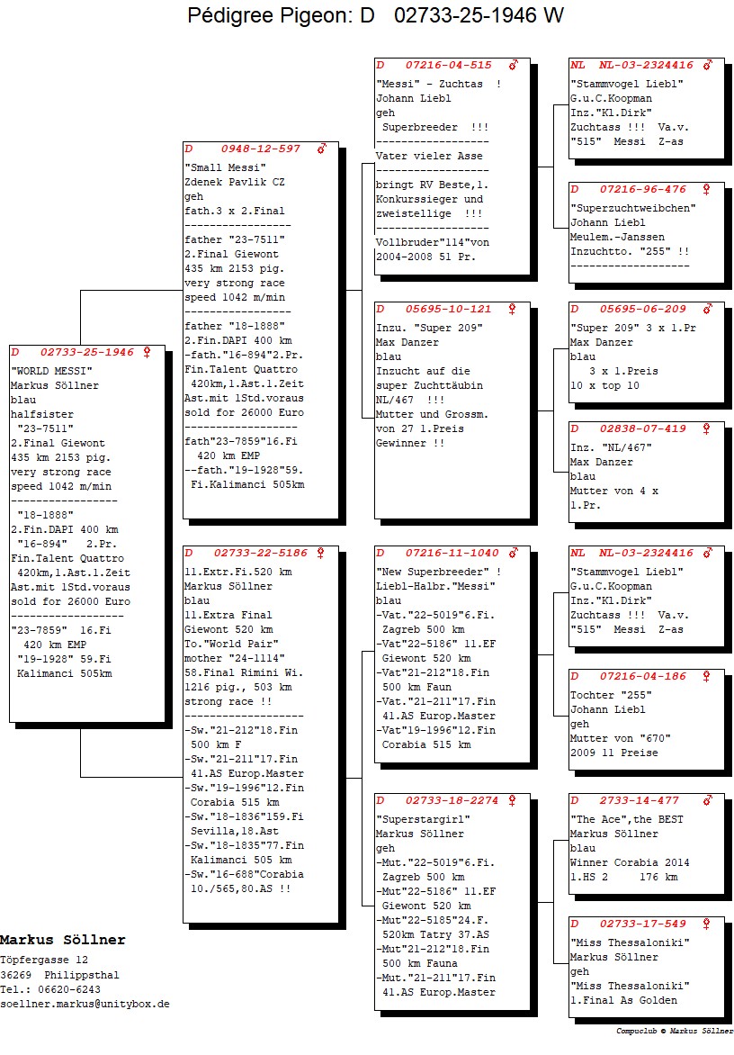 DV 2733 25 1946 F - Daughter Small Messi (Father 3x 2 Final)