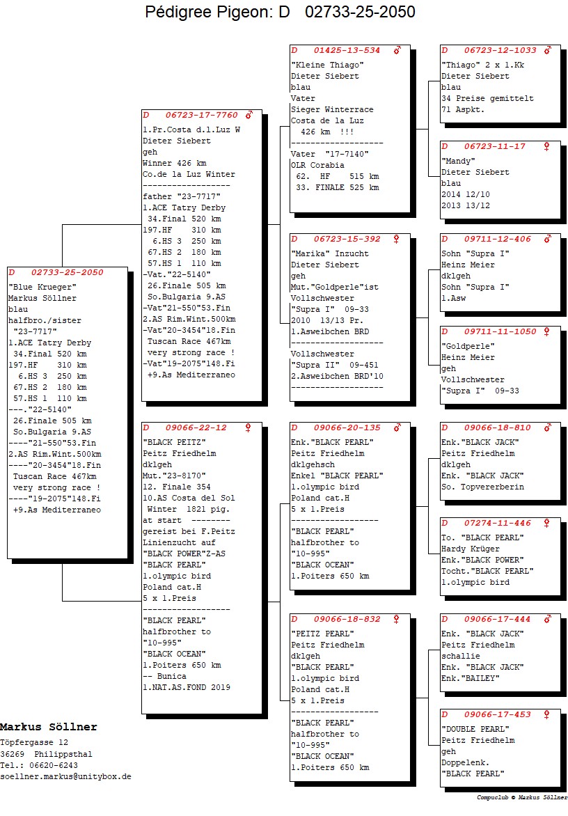 DV 2733 25 2050 F - Daughter 1 Final Costa de la Luz OLR