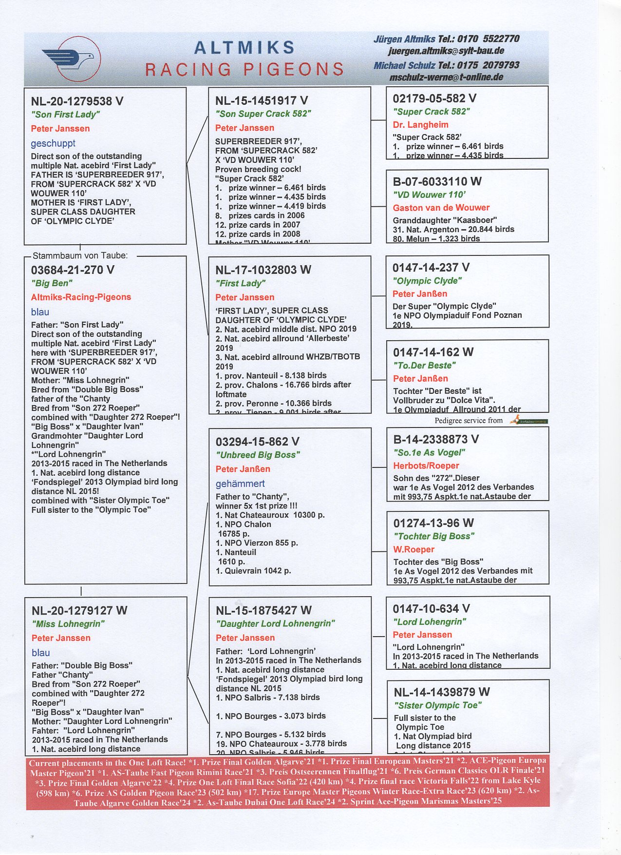 DV 3684 21 270 - GRANDSON "FIRST LADY", SUPER HEN OF PETER JANSSEN