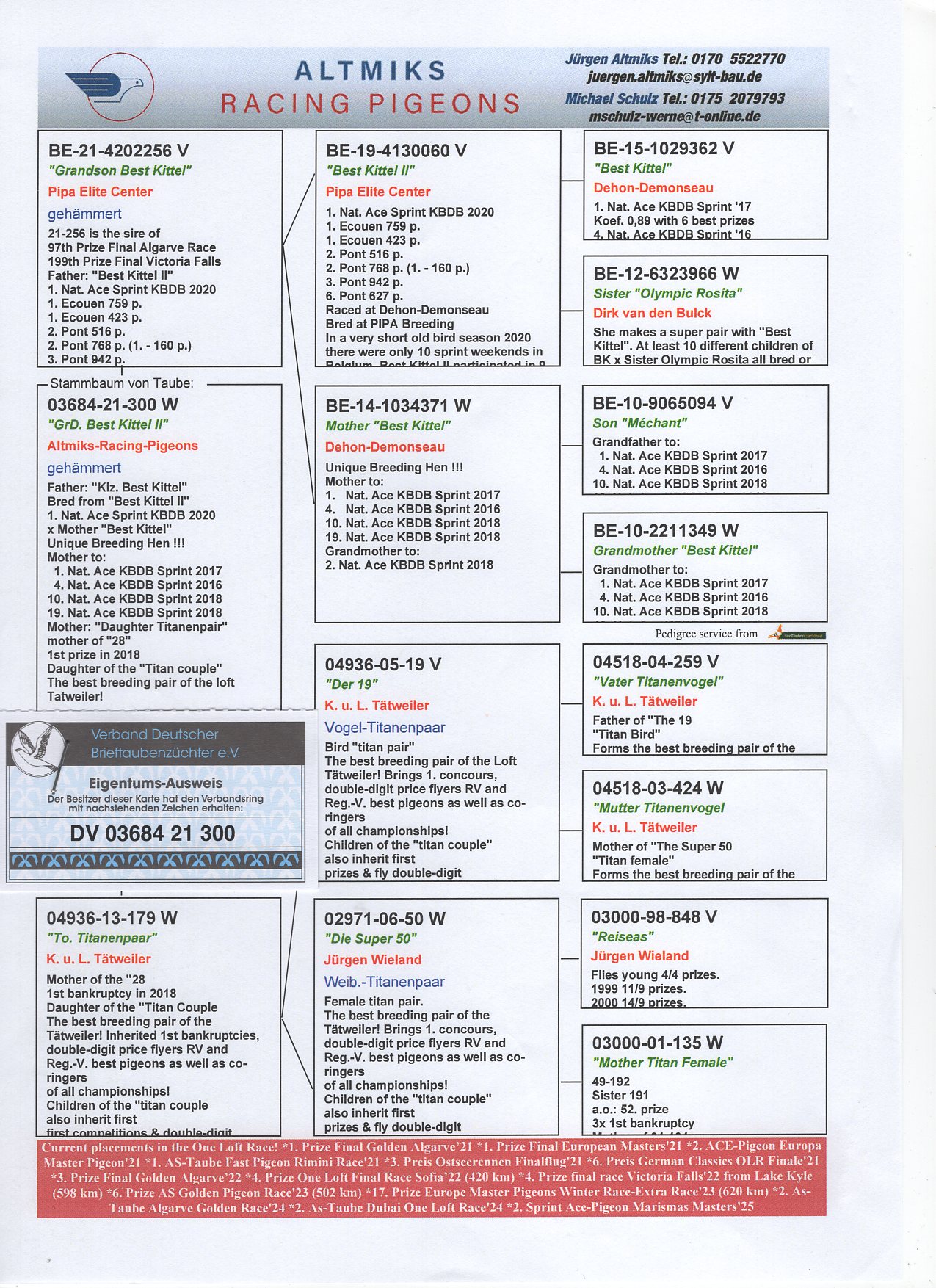 DV 3684 21 300 - GRANDDAUGHTER "BEST KITTEL II" 1 NAT ACE KBDB SPRINT