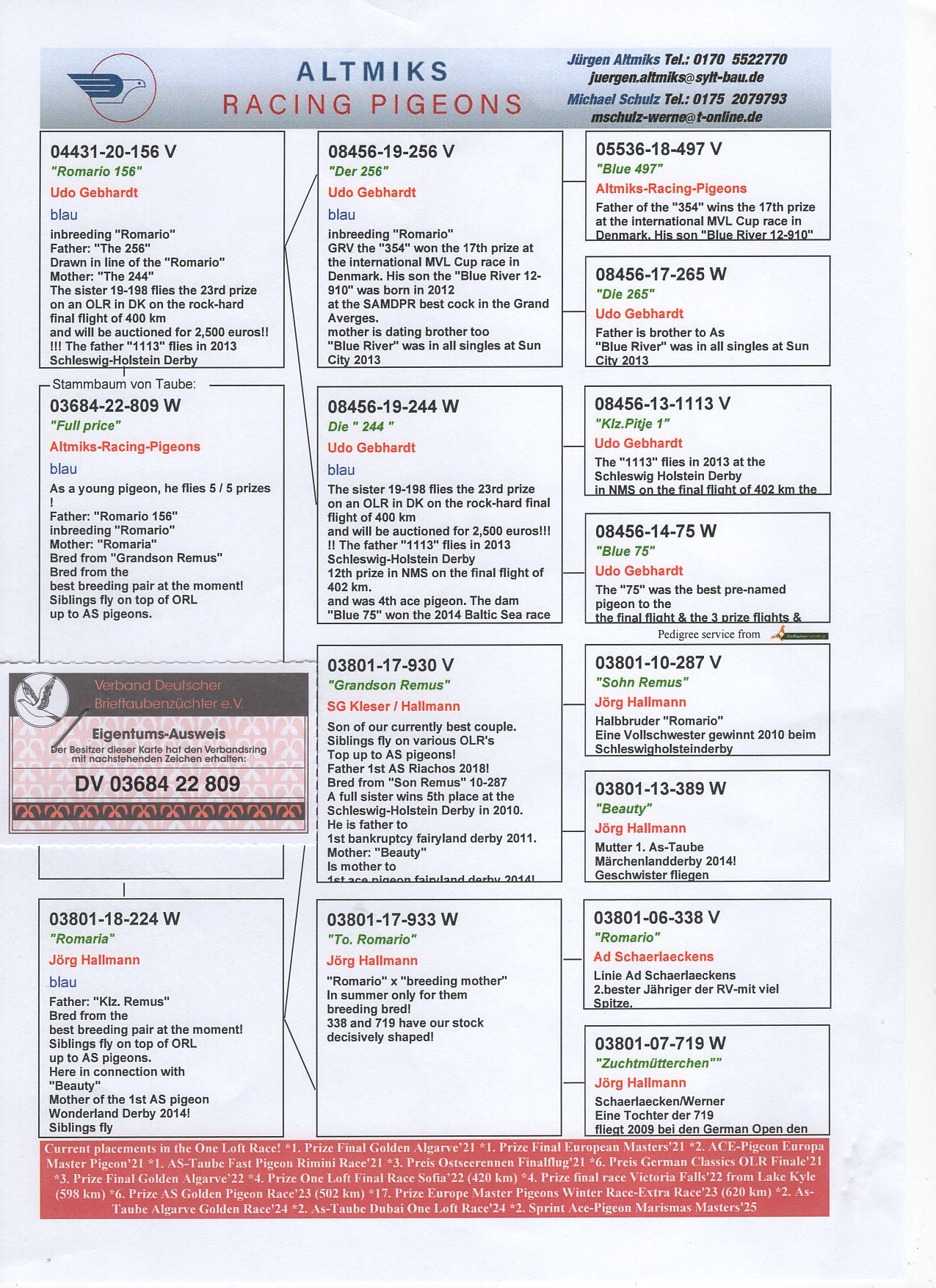 DV 3684 22 809 - 5/5 PRIZES AS YB; INBRED "ROMARIO"