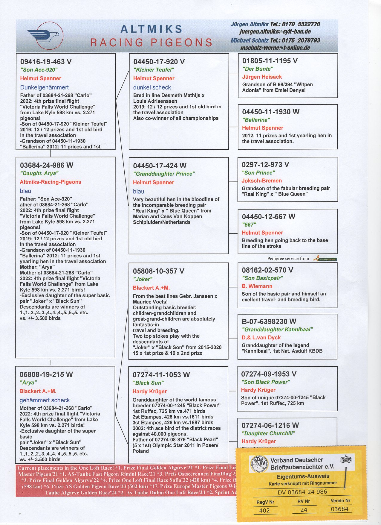 DV 3684 24 986 - FULL SISTER 4 FINAL VICTORIA FALLS OLR (598 km) 2271 pigeons