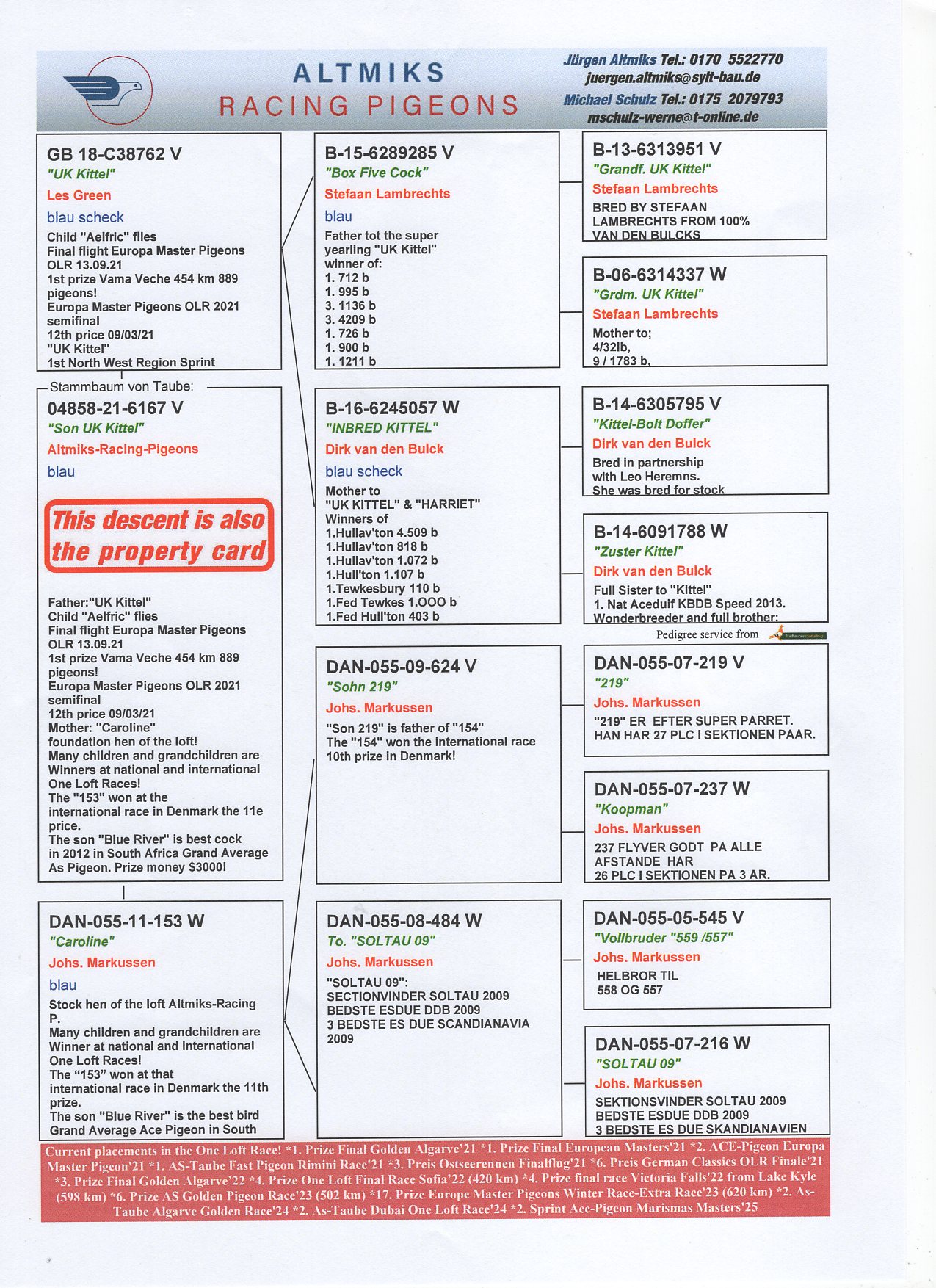 DV 4858 21 6167 - "UK KITTEL" x SUPERBREEDING HEN "CAROLINE"! UNIQUE OFFER!