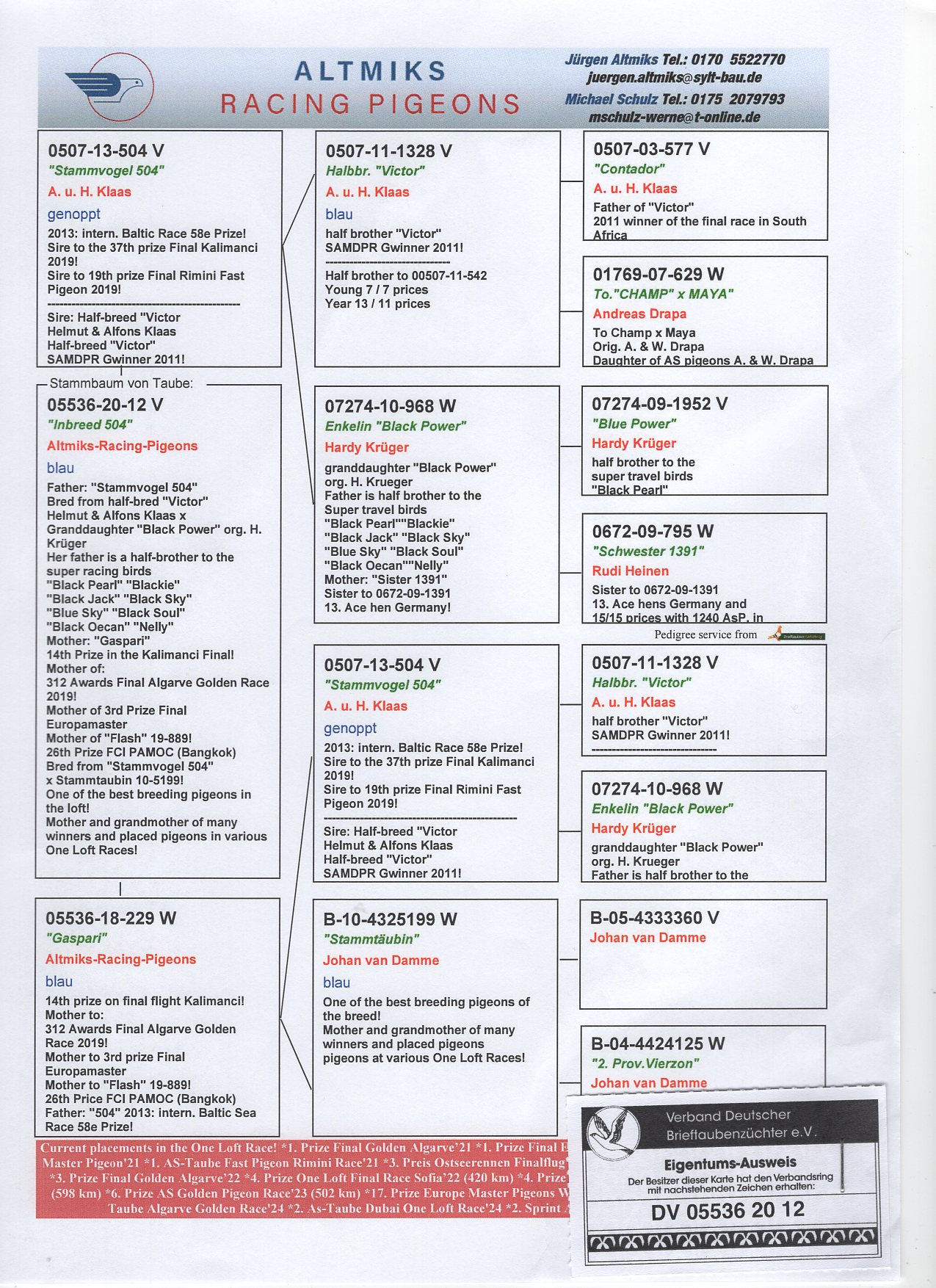 DV 5536 18 229 - HALF BROTHER 3 FINAL EUROPA MASTER, 26 FINAL PA MOK THAILAND