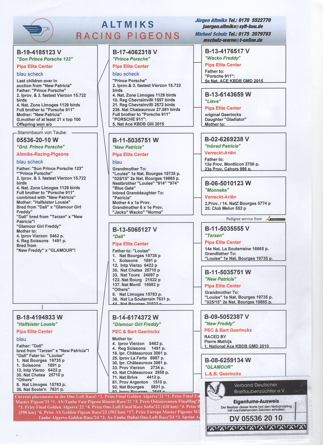 DV 5536 20 10 - GRANDDAUGHTER SUPERBREEDERS "PRINCE PORSCHE", "DALI"