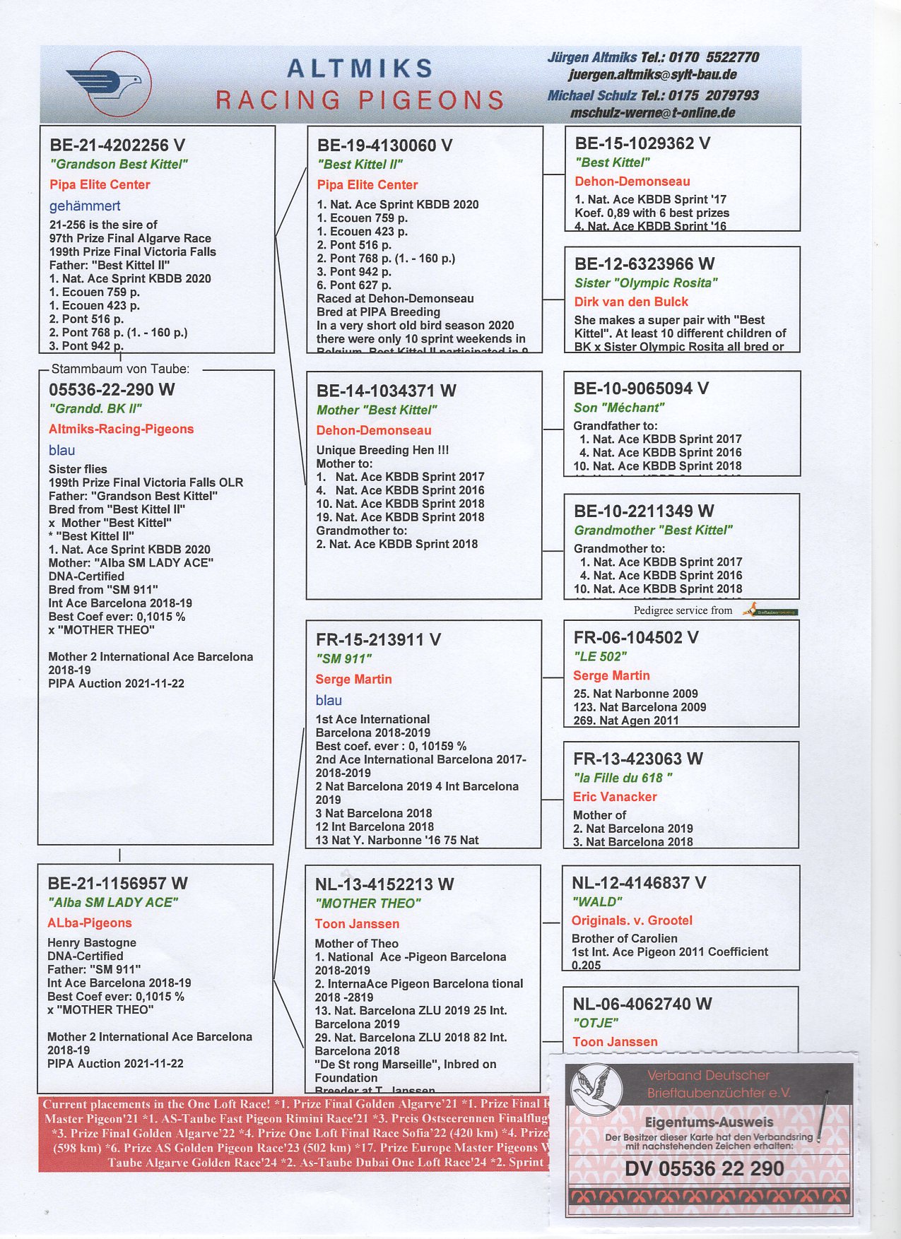 DV 5536 22 290 - GRANDDAUGHTER "BEST KITTEL II" 1 NAT ACE KBDB SPRINT