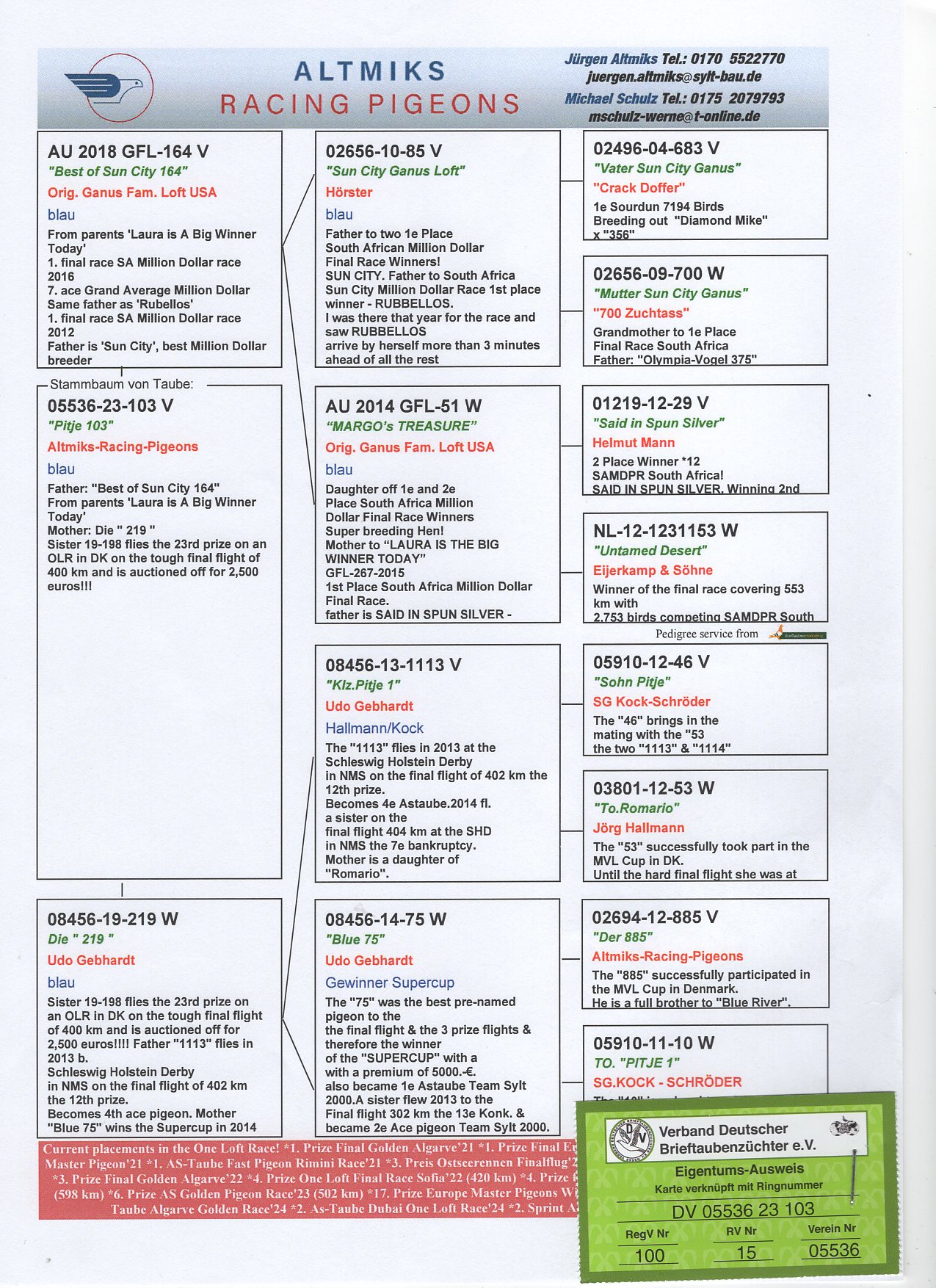 DV 5536 23 103 - BROTHER 1 FINAL SAMDPR x DAUGHTER "DER 1113"