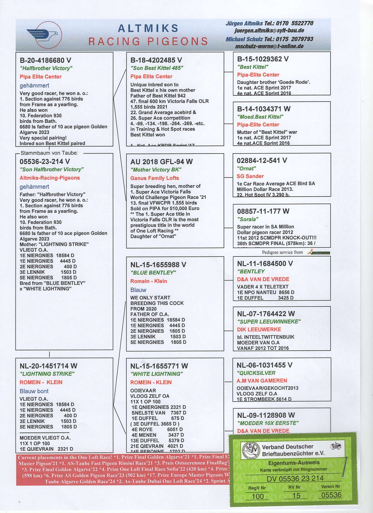 DV 5536 23 214 - HBROTHER "VICTORY BK" x WINNER 2x 1 PRIZE