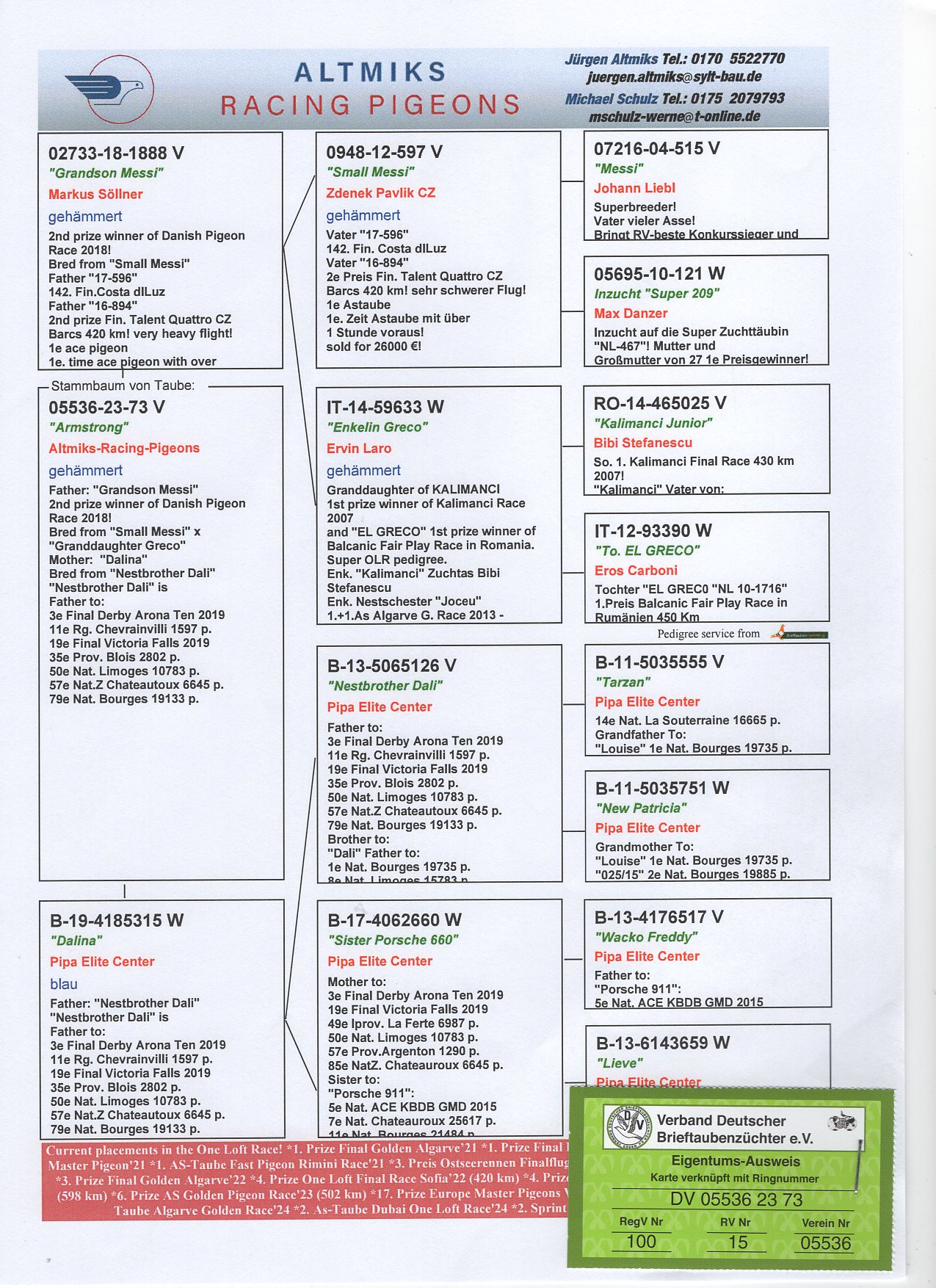 DV 5536 23 73 - SON 2 FINAL DAPIRACE (GRANDSON "MESSI") 