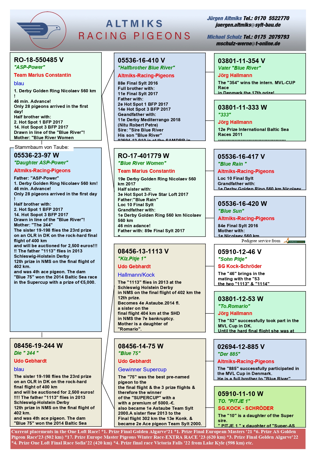 DV 5536 23 97 F - ALTMIKS PIGEONS - Daughter 1 place Golden Ring (46 min advance)