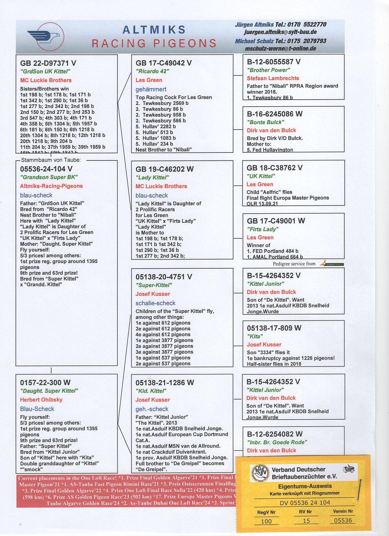 DV 5536 24 104 - GRANDSON SPECIAL BREEDER "SUPER KITTEL"