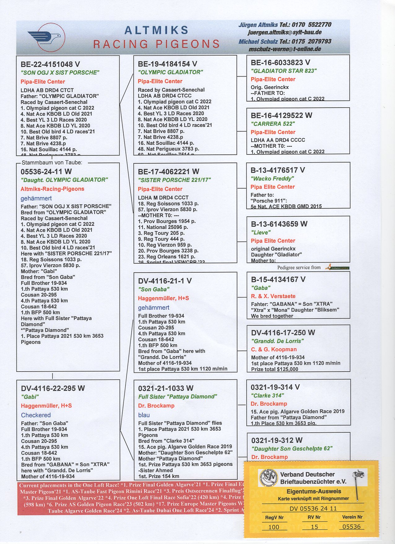 DV 5536 24 11 - GRANDDAUGHTER "OLYMPIC GLADIATOR" - 1 OLYMPIAD PIGEON FOND