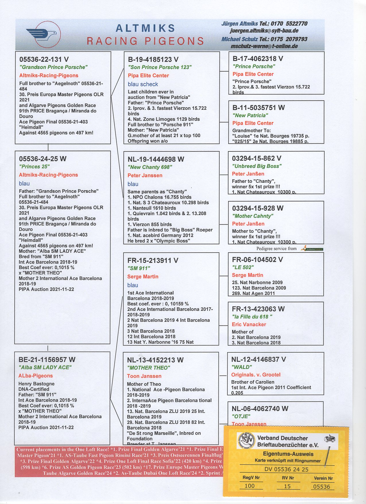 DV 5536 24 25 - GRANDDAUGHTER "SON PRINCE PORSCHE 123"