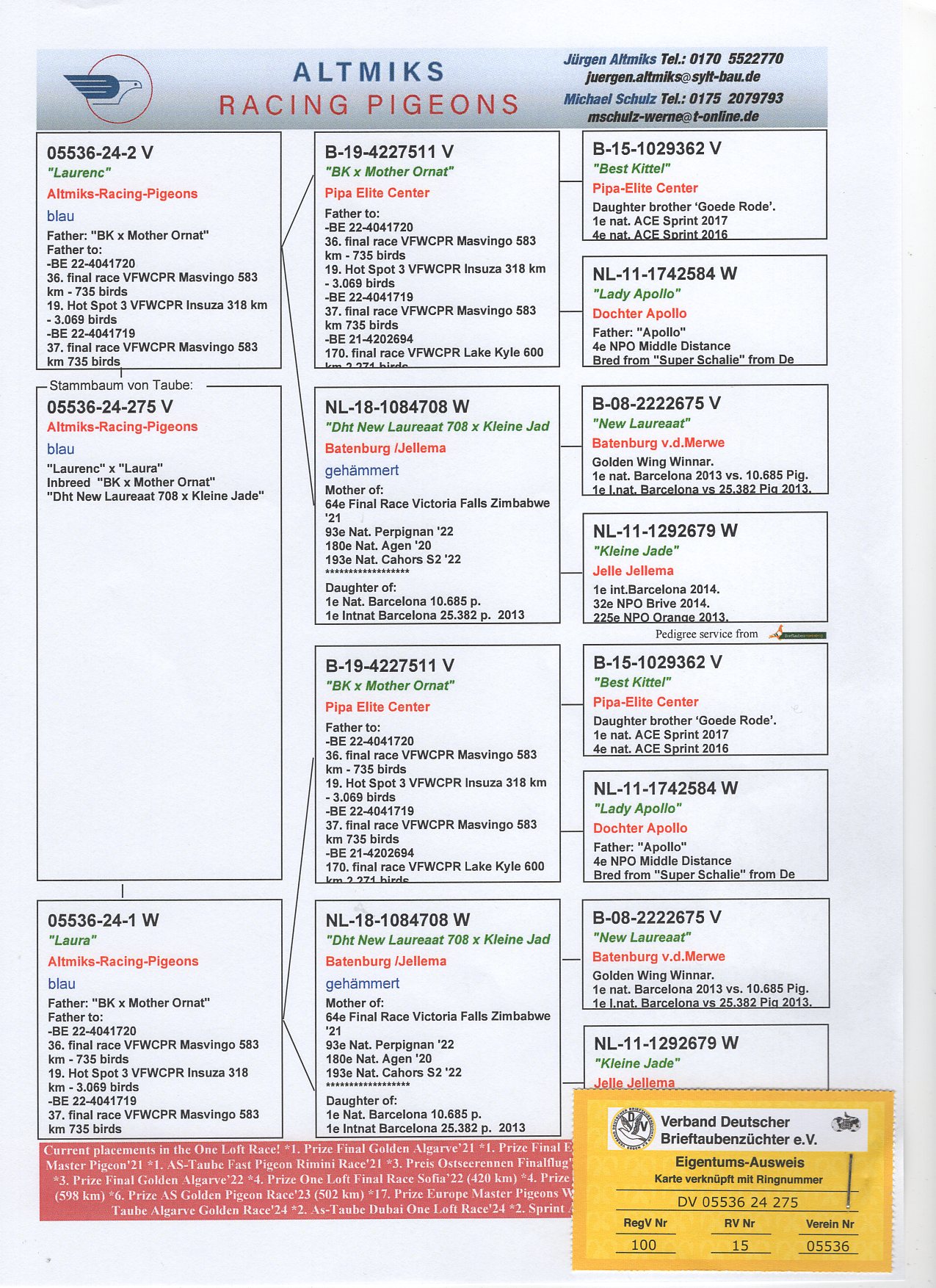 DV 5536 24 275 - INBRED "BEST KITTEL", "NEW LAUREAAT"