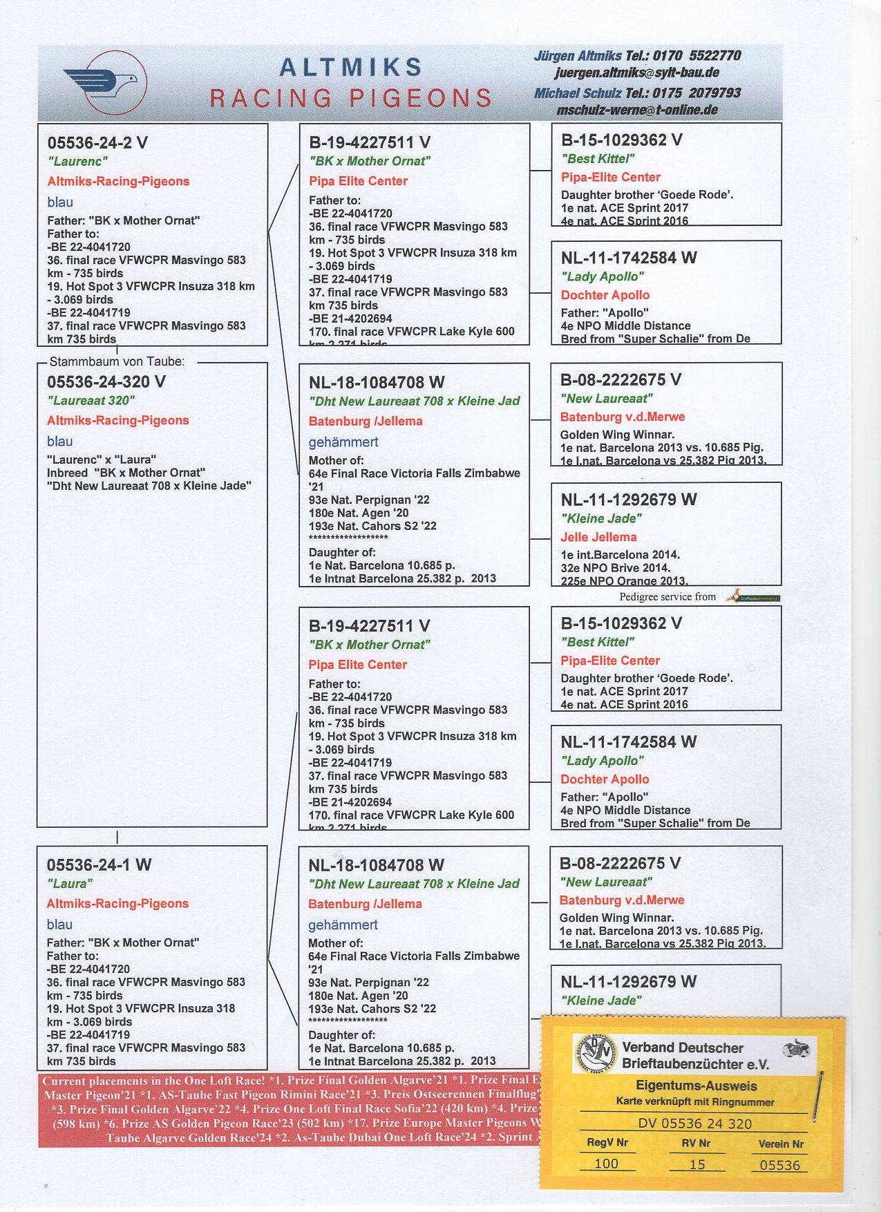 DV 5536 24 320 - INBRED "BEST KITTEL", "NEW LAUREAAT"