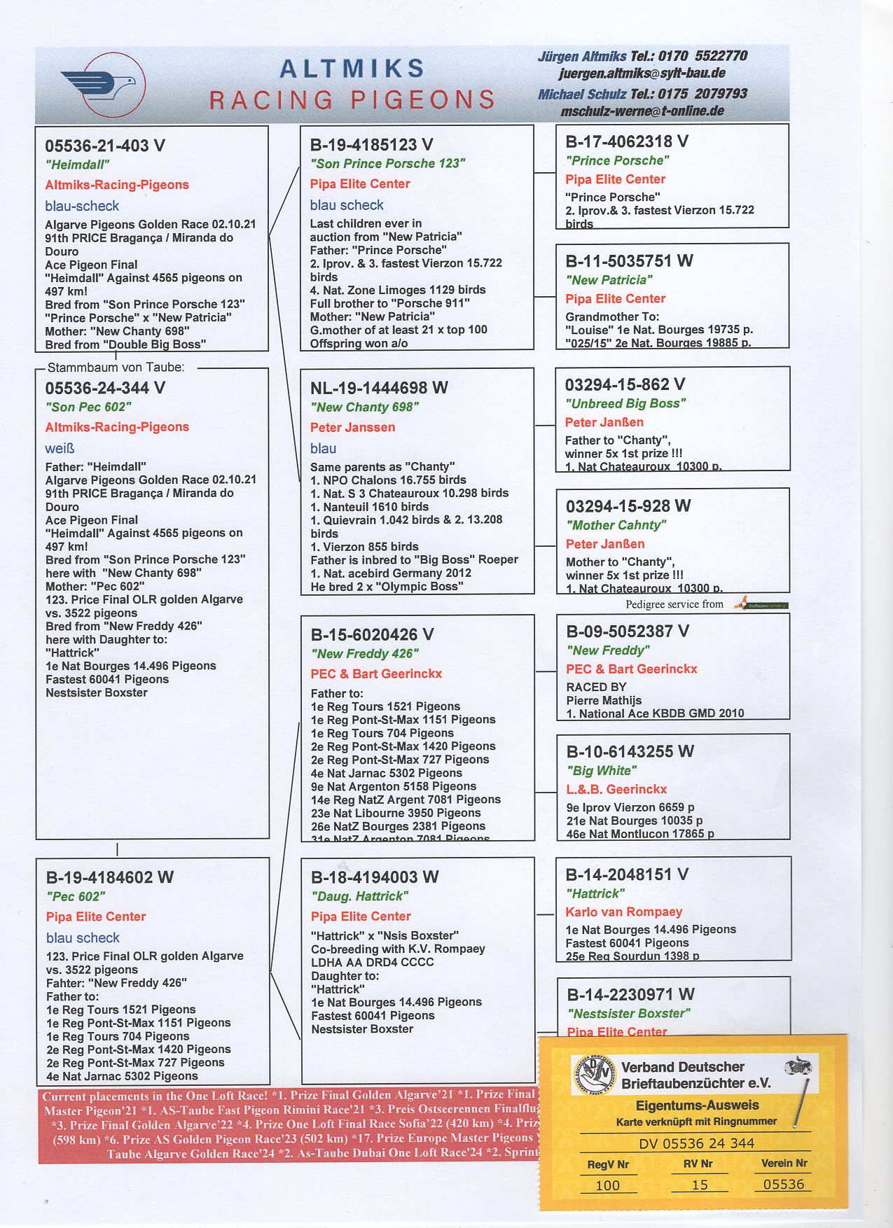 DV 5536 24 344 - GRANDSON "SON PRINCE PORSCHE 123"