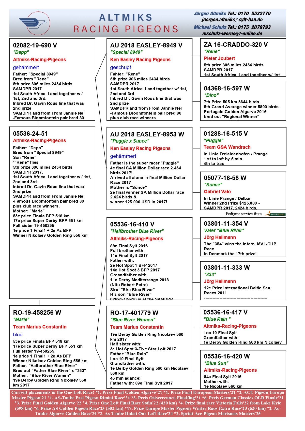 DV 5536 24 51 - SON 5=1 FINAL SAMDPR x SISTER 1 NIKOLAEV GOLDEN RING