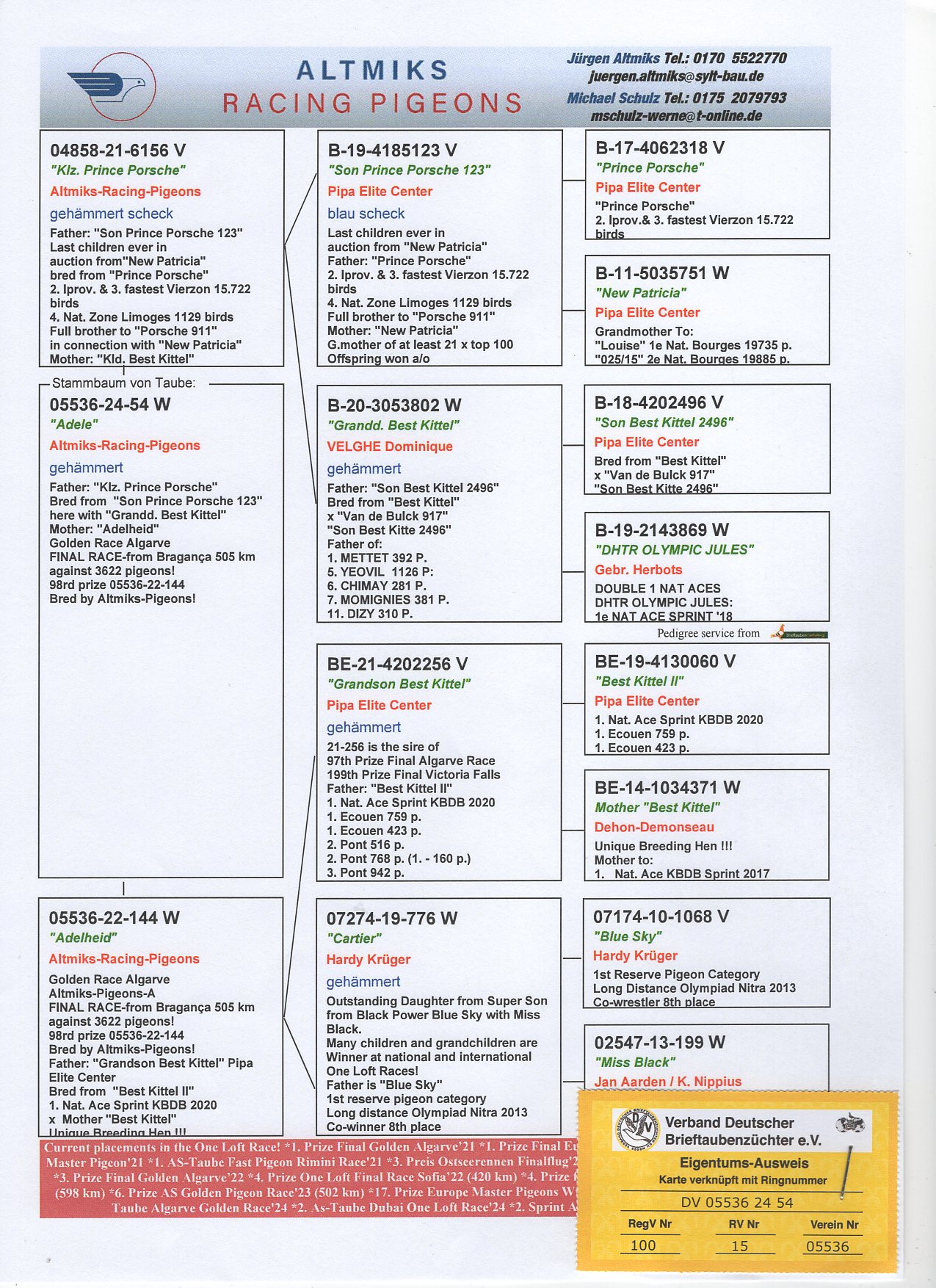 DV 5536 24 54 - GRANDDAUGHTER "SON PRINCE PORSCHE 123"